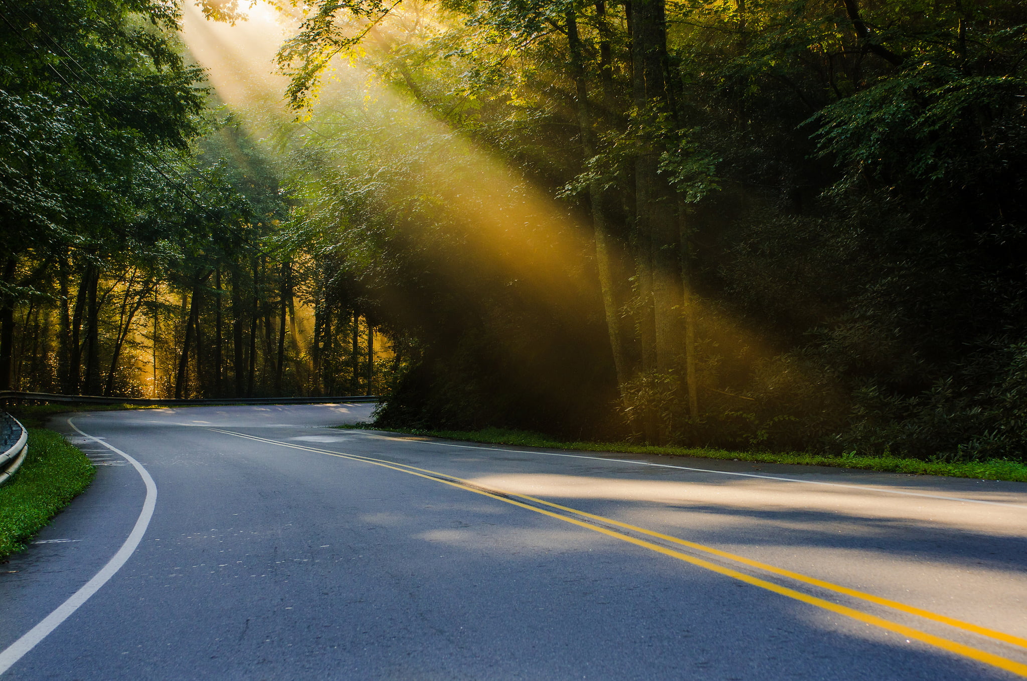 grey asphalt road, forest, summer, light, nature, USA, sun, North Carolina