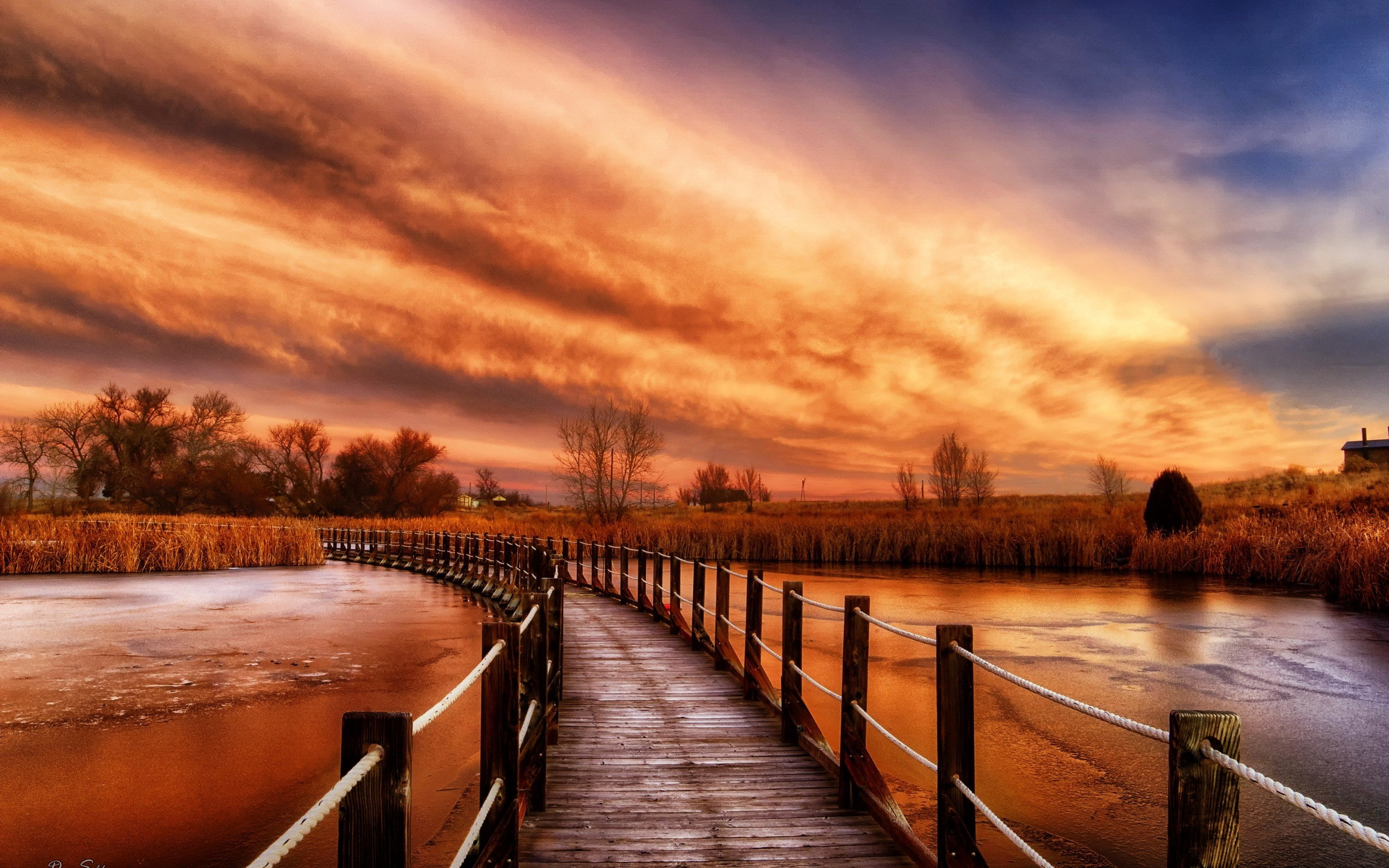 path
