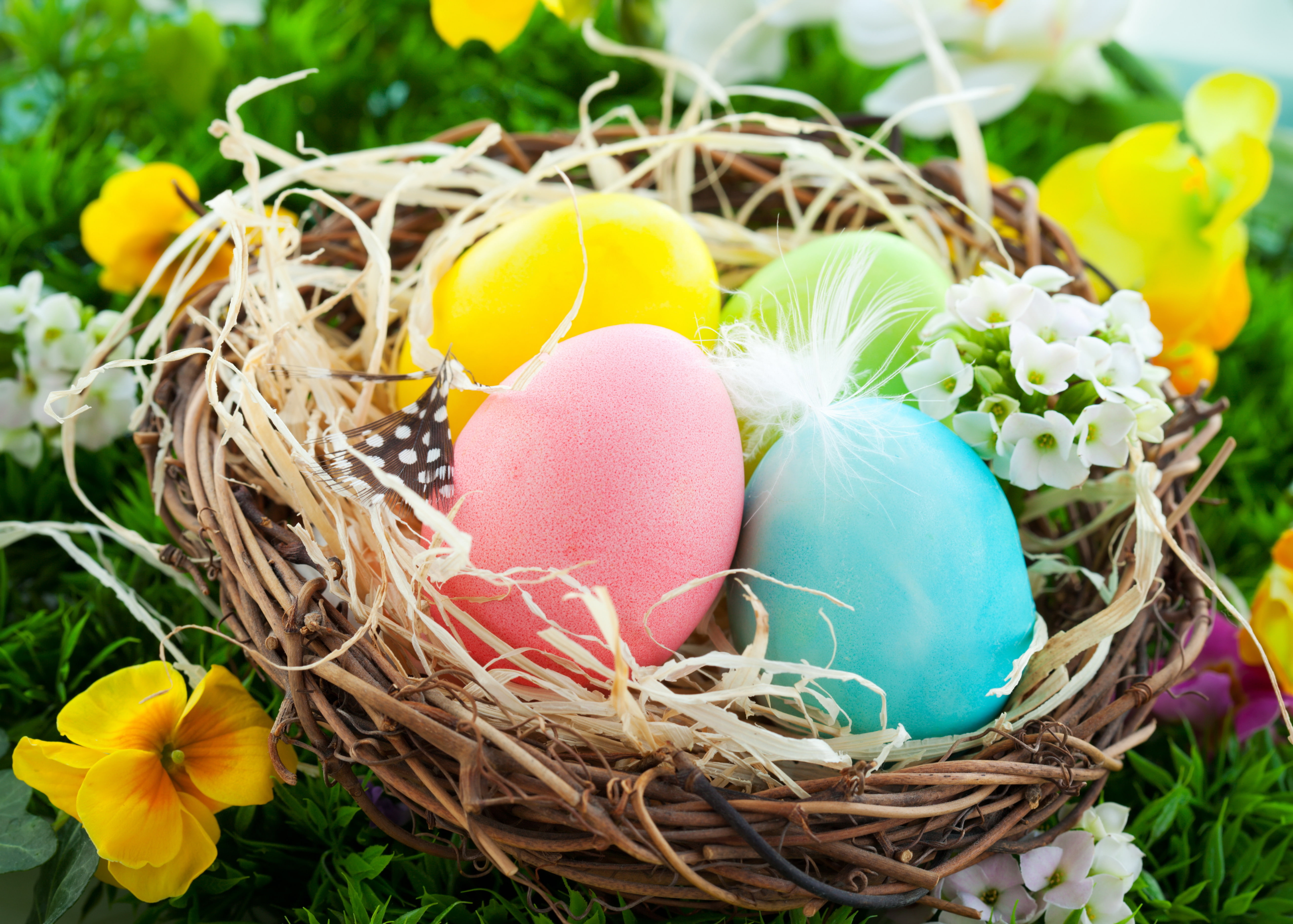 eggs, Easter, socket, flowers, spring, basket, nest