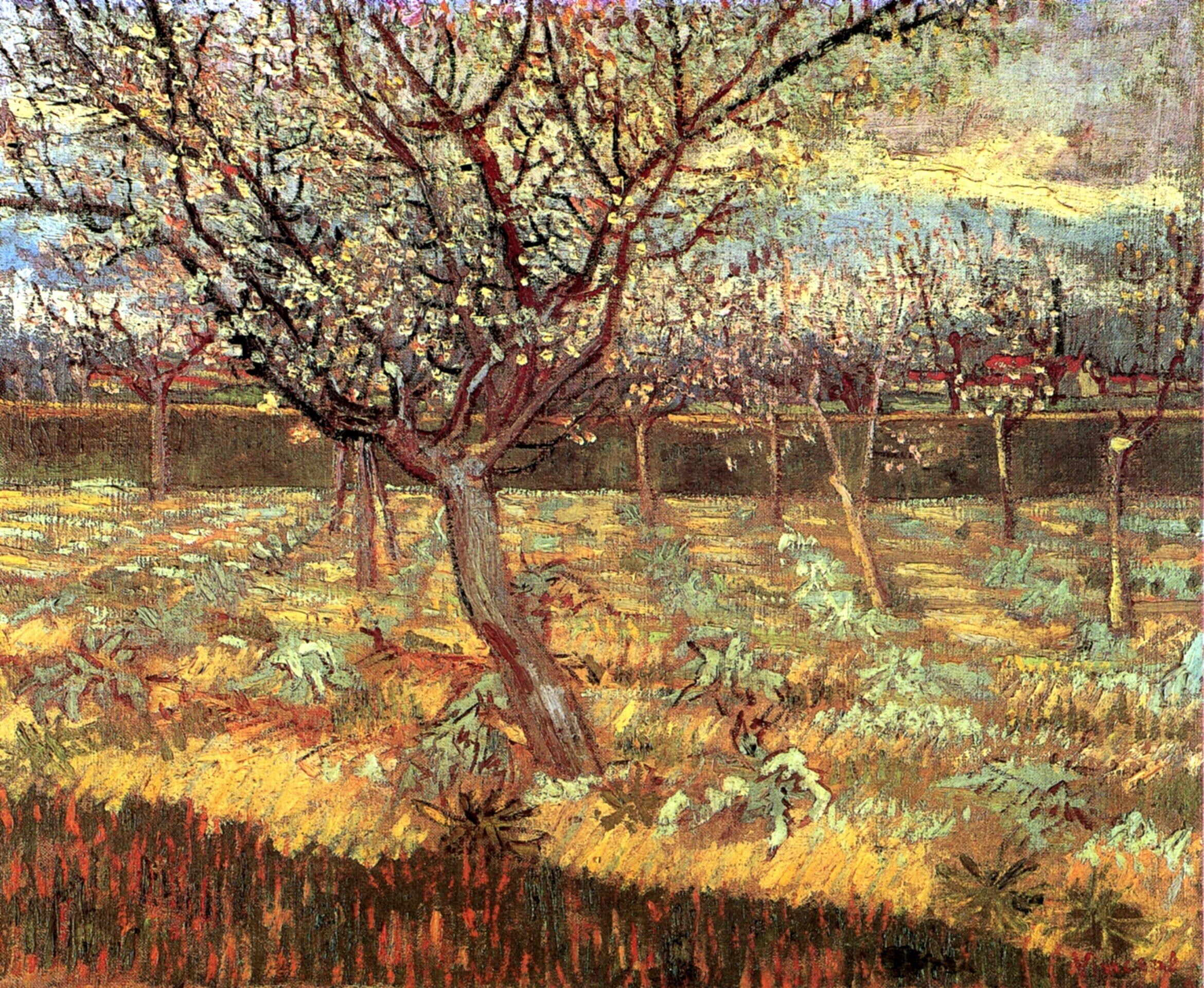 Vincent van Gogh, Apricot Trees, in Blossom 2