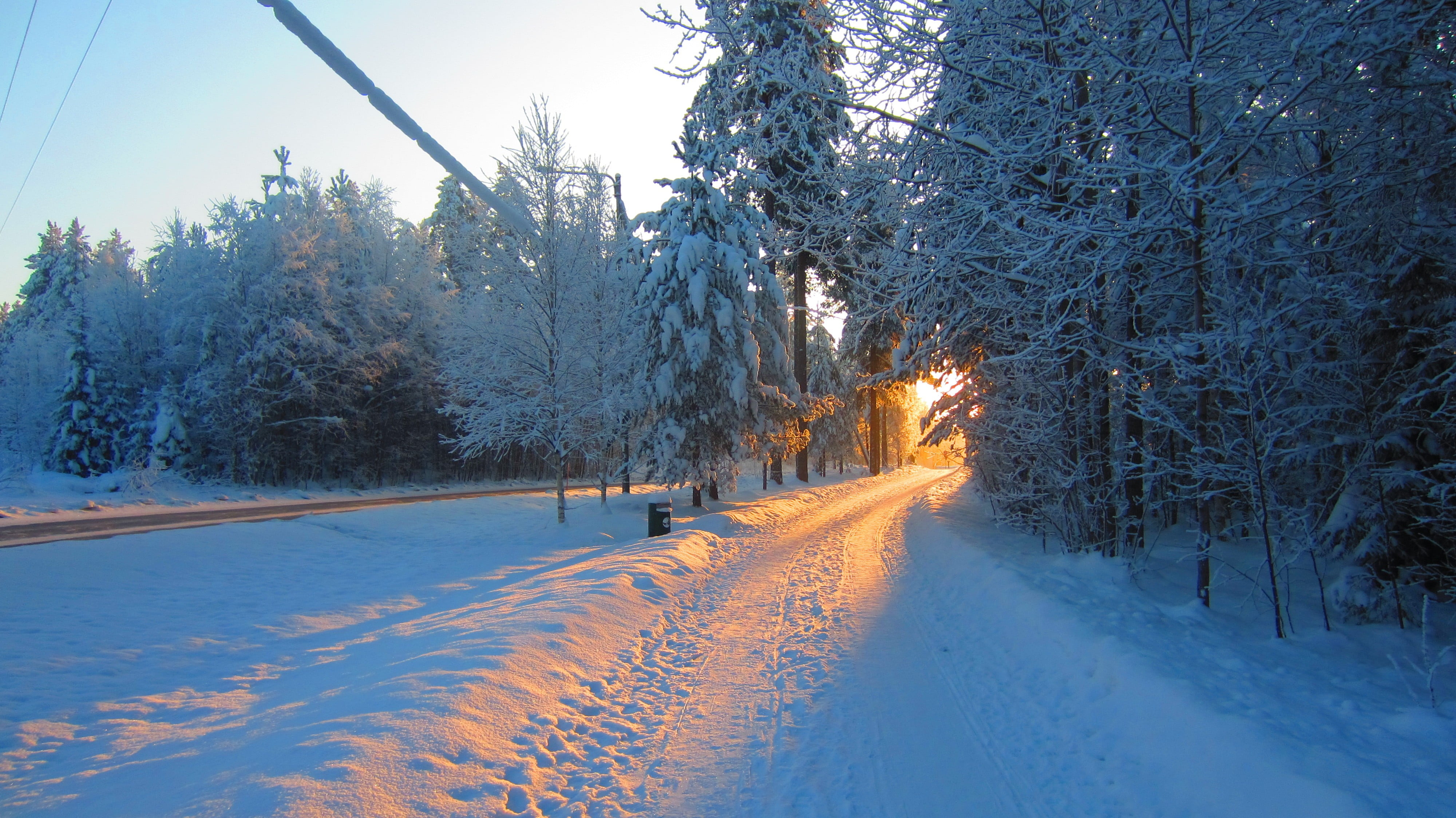 snow covered tree, landscape, road, Sun, sunlight, winter, cold temperature