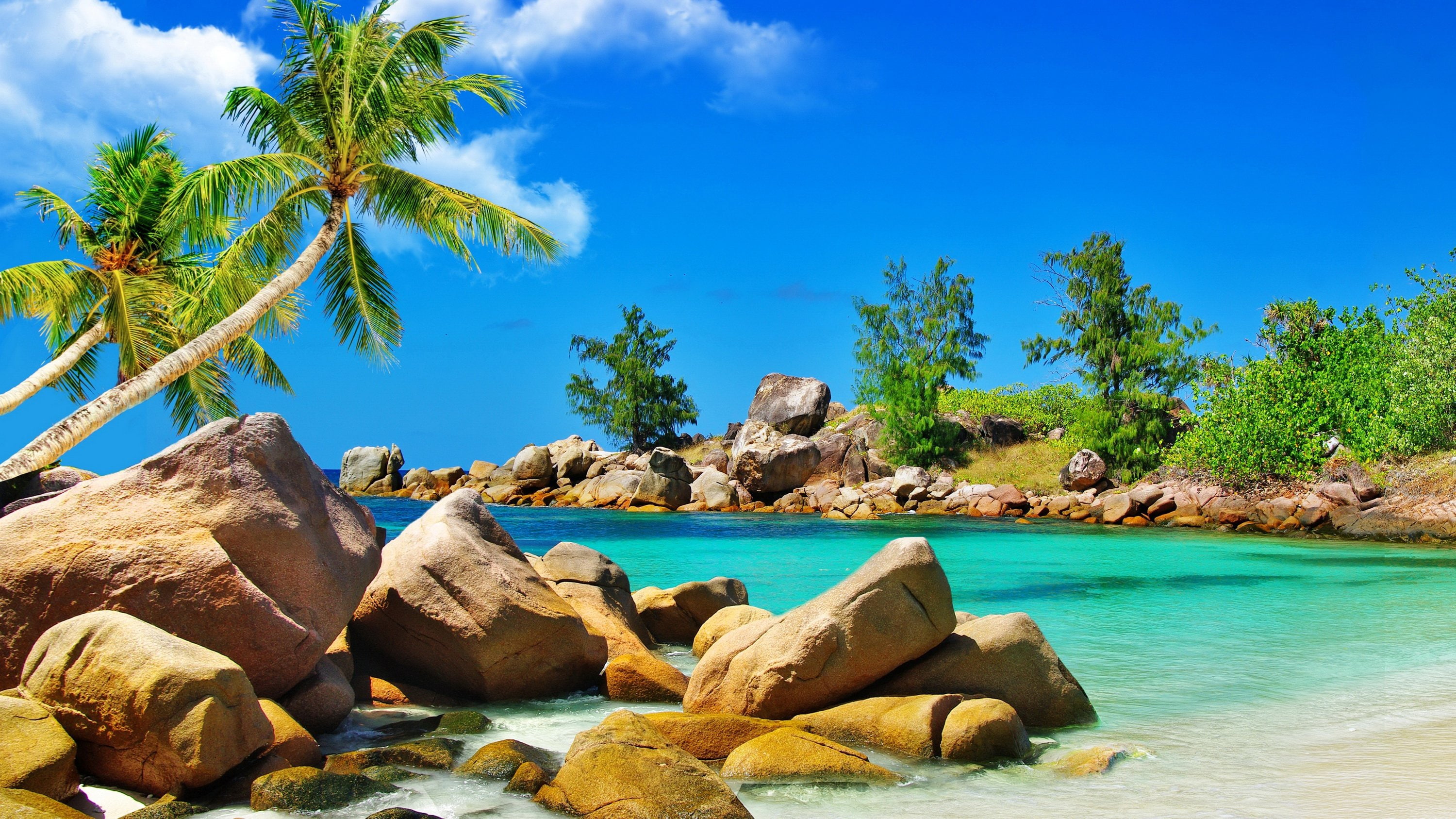 coast, nature, palma, scenery, stones, tropics