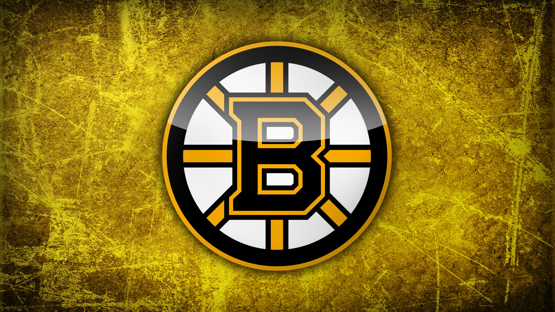 Boston Bruins logo, NHL, symbol, illustration, sign, technology