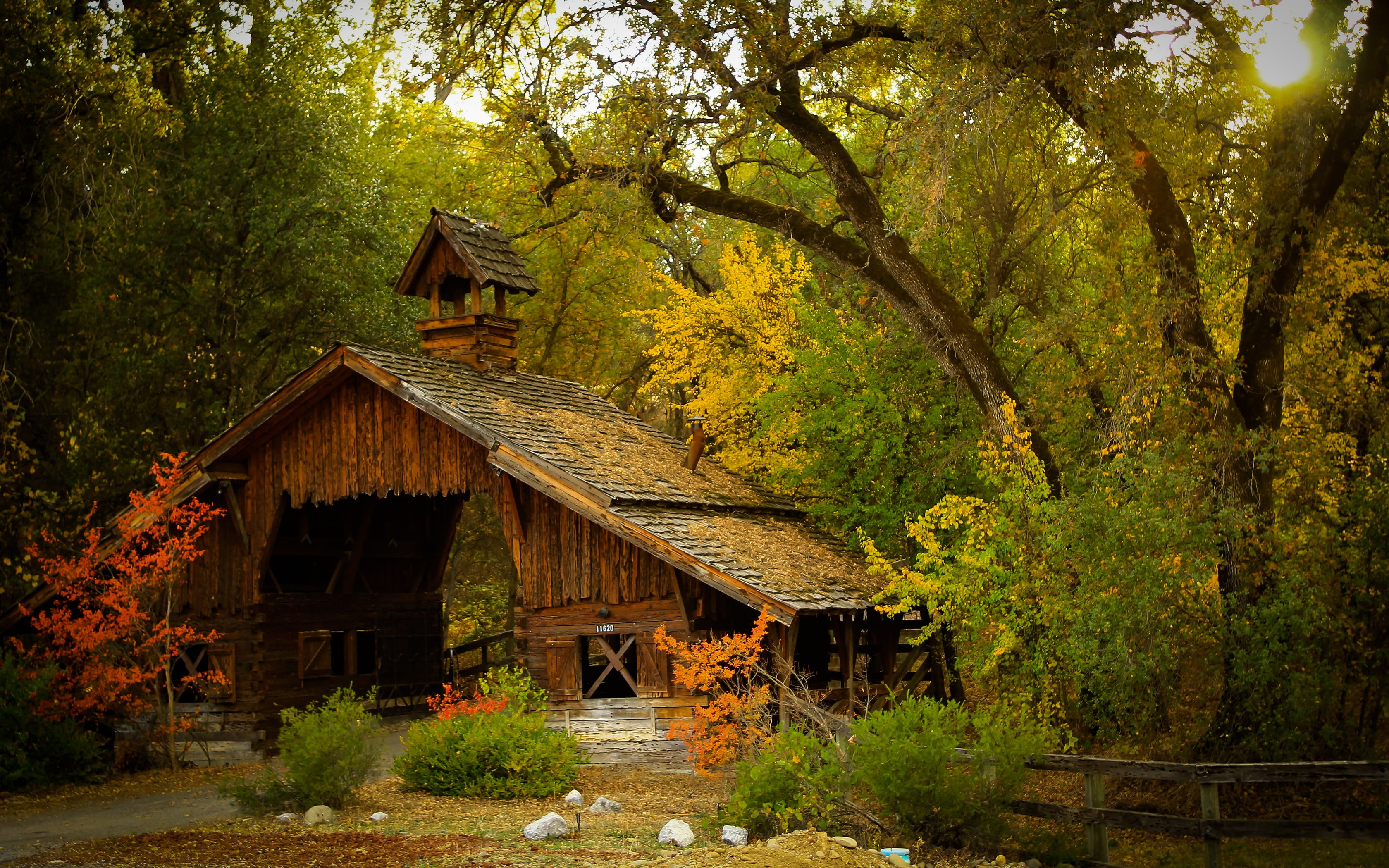 brown wooden house, brown cabin surrounded by trees, nature, photography