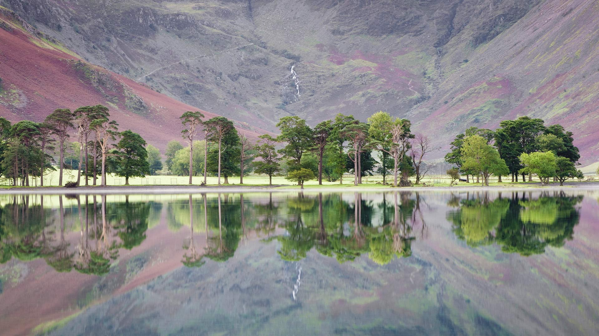 lake, reflection, trees, landscape, England, Lake District