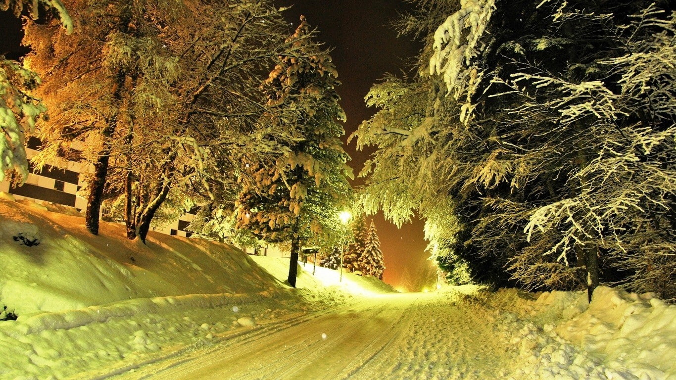 nature, landscape, evening, winter, road, lantern, snow, trees