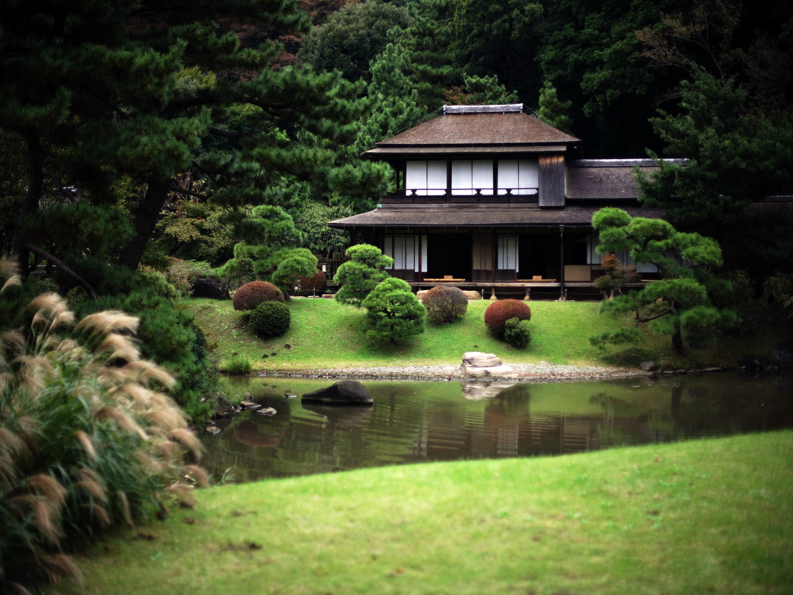 Japan, garden, house, plant, tree, water, built structure, architecture