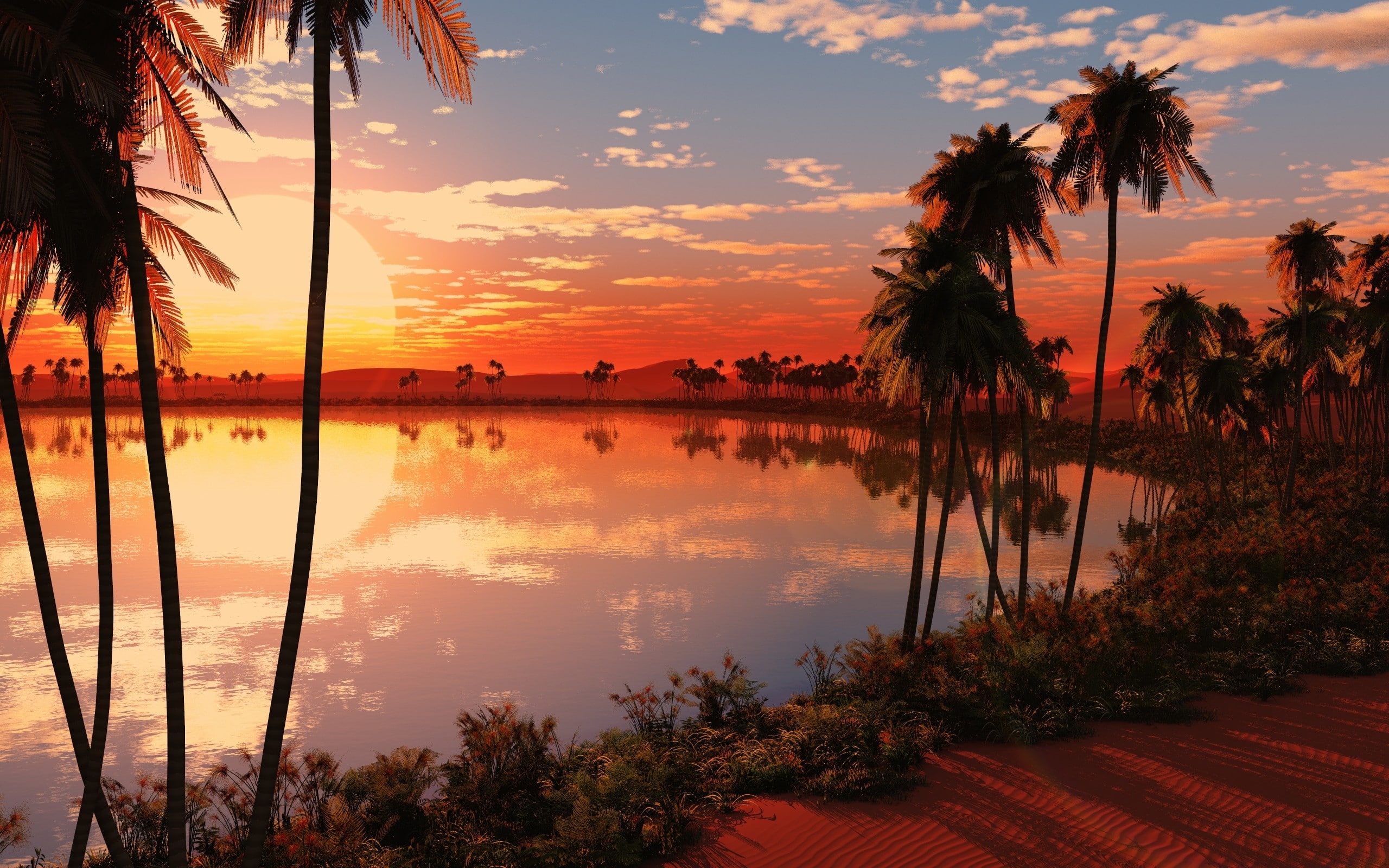 Oasis, sunset