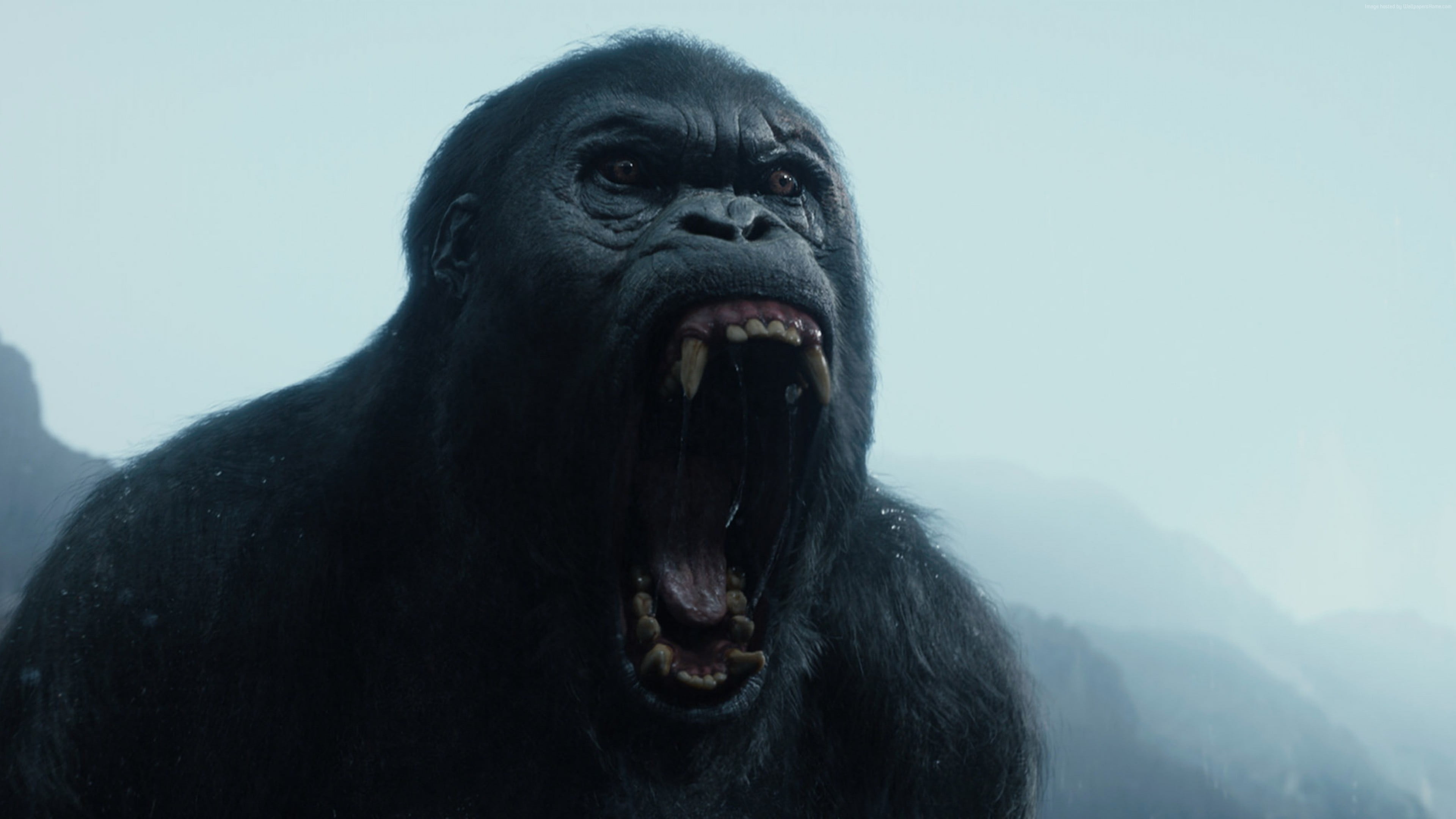 fangs, The, Legend, roar, year, Movie, Film, Tarzan, Gorilla
