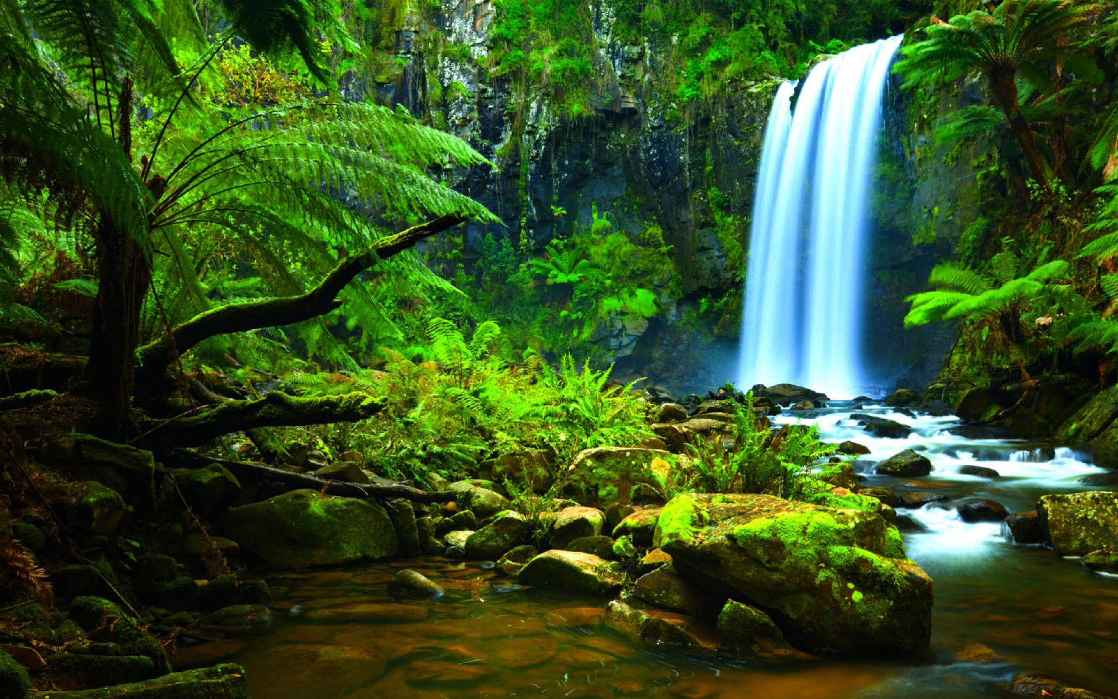Waterfall-Jungle-green tropical vegetation-rocks-trees-fern-moss-3840×2400