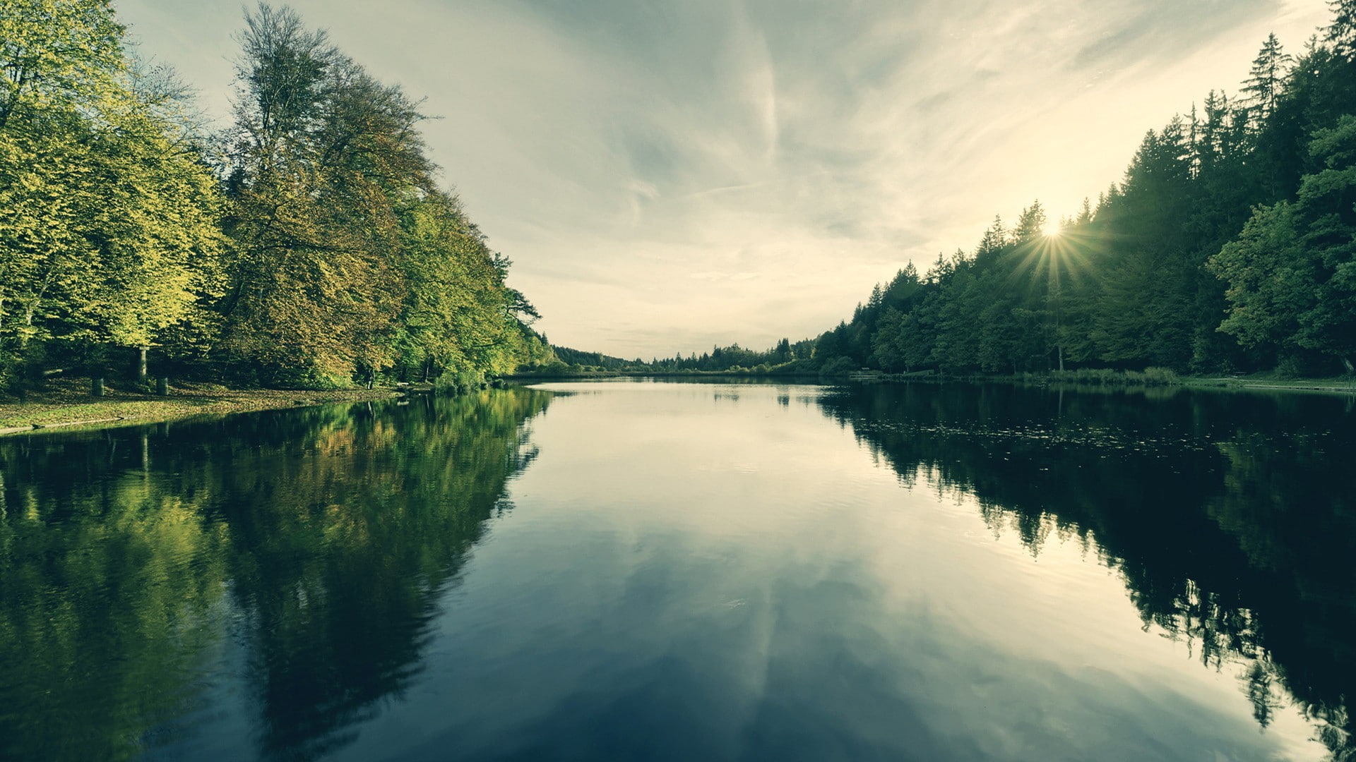 river, forest