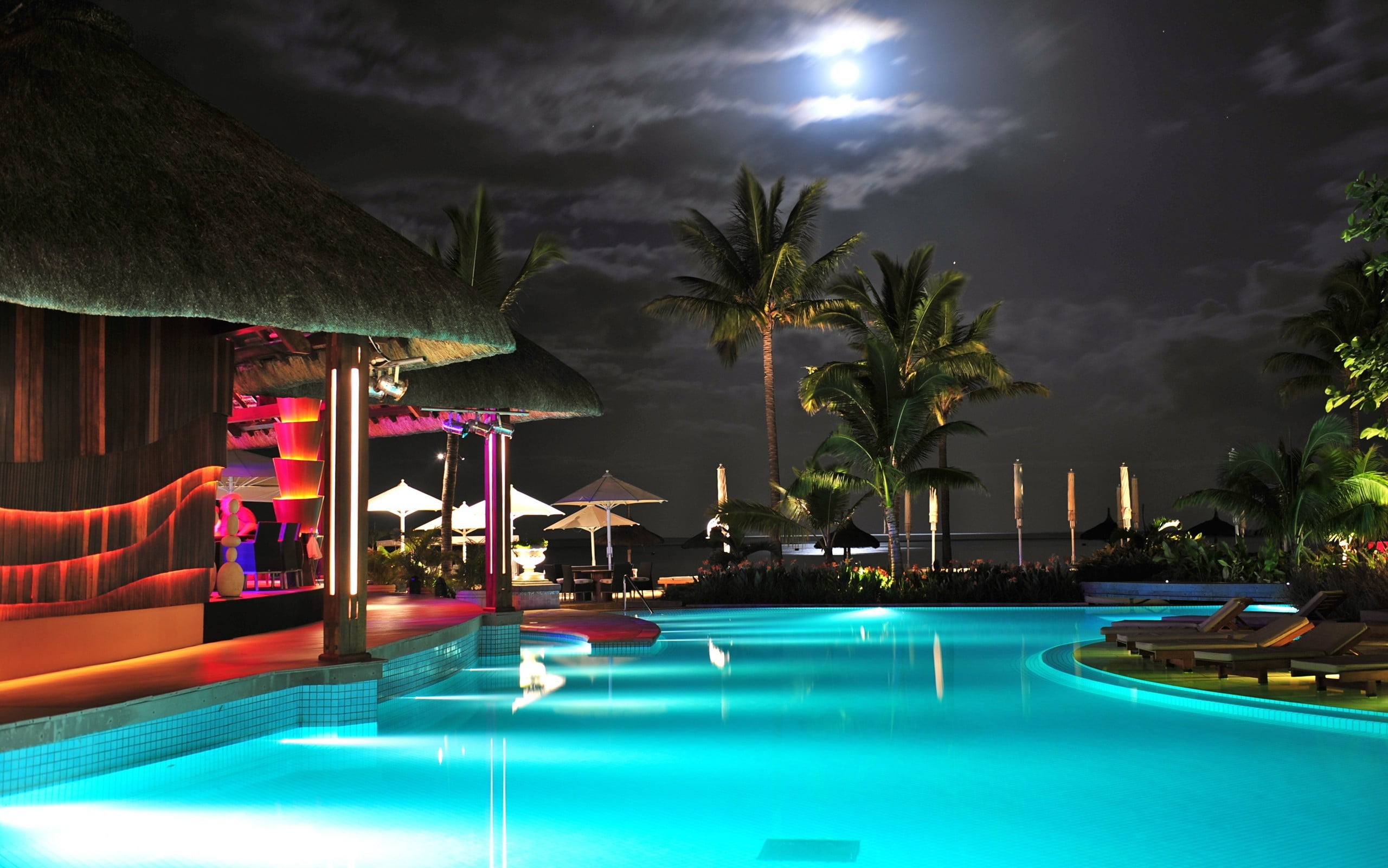 swimming pool, night, palm trees, water, tourist resort, nature