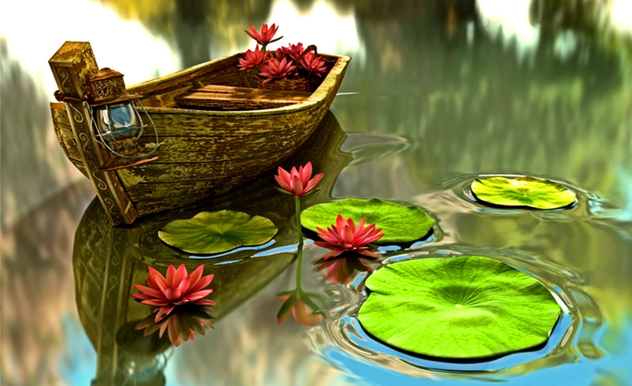 Boat In Water Lilies Pond, calm, lily pads, tranquility, lily pond