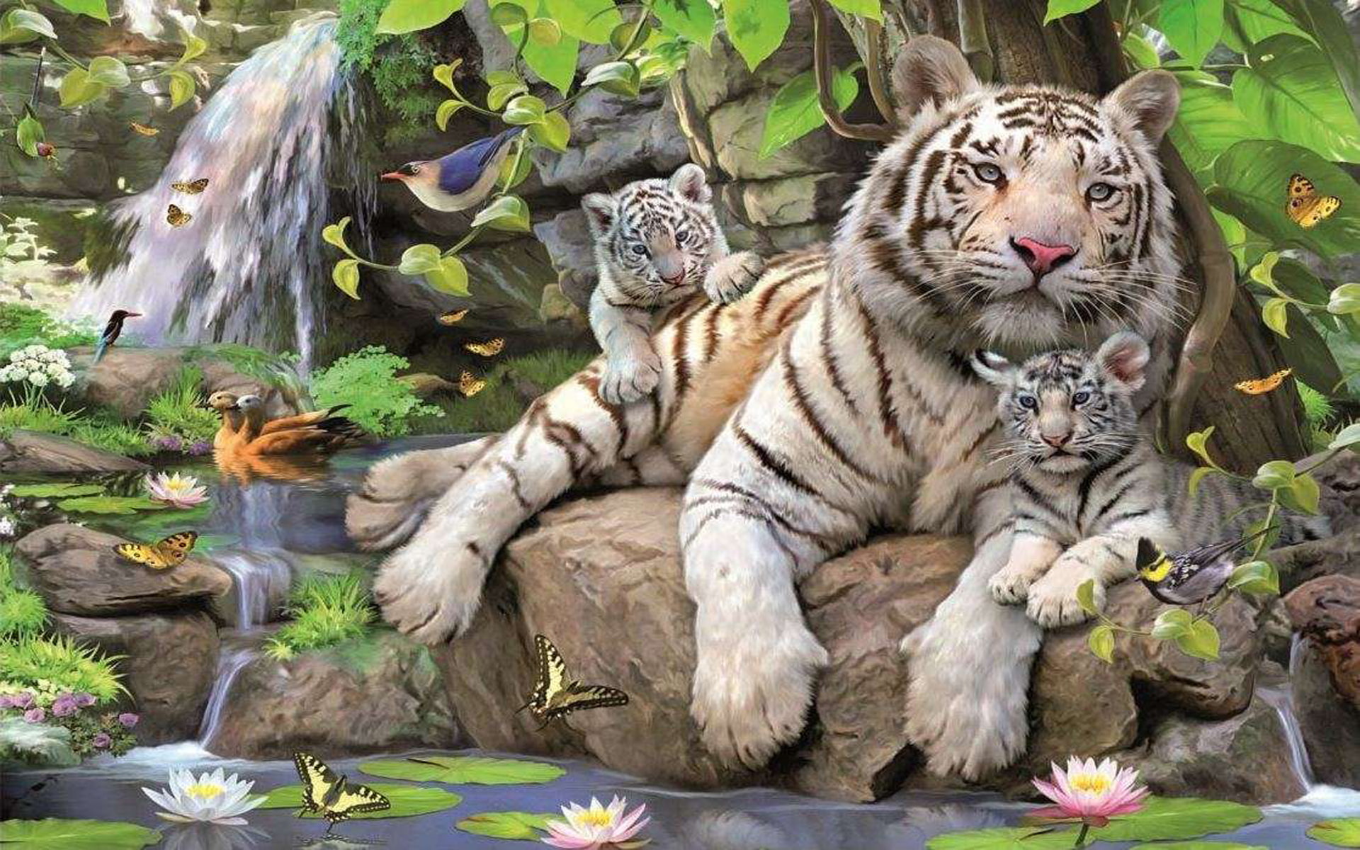 White Tigress With Two Cubs Waterfall Lotus Jungle Desktop Wallpaper Hd 1920×1200