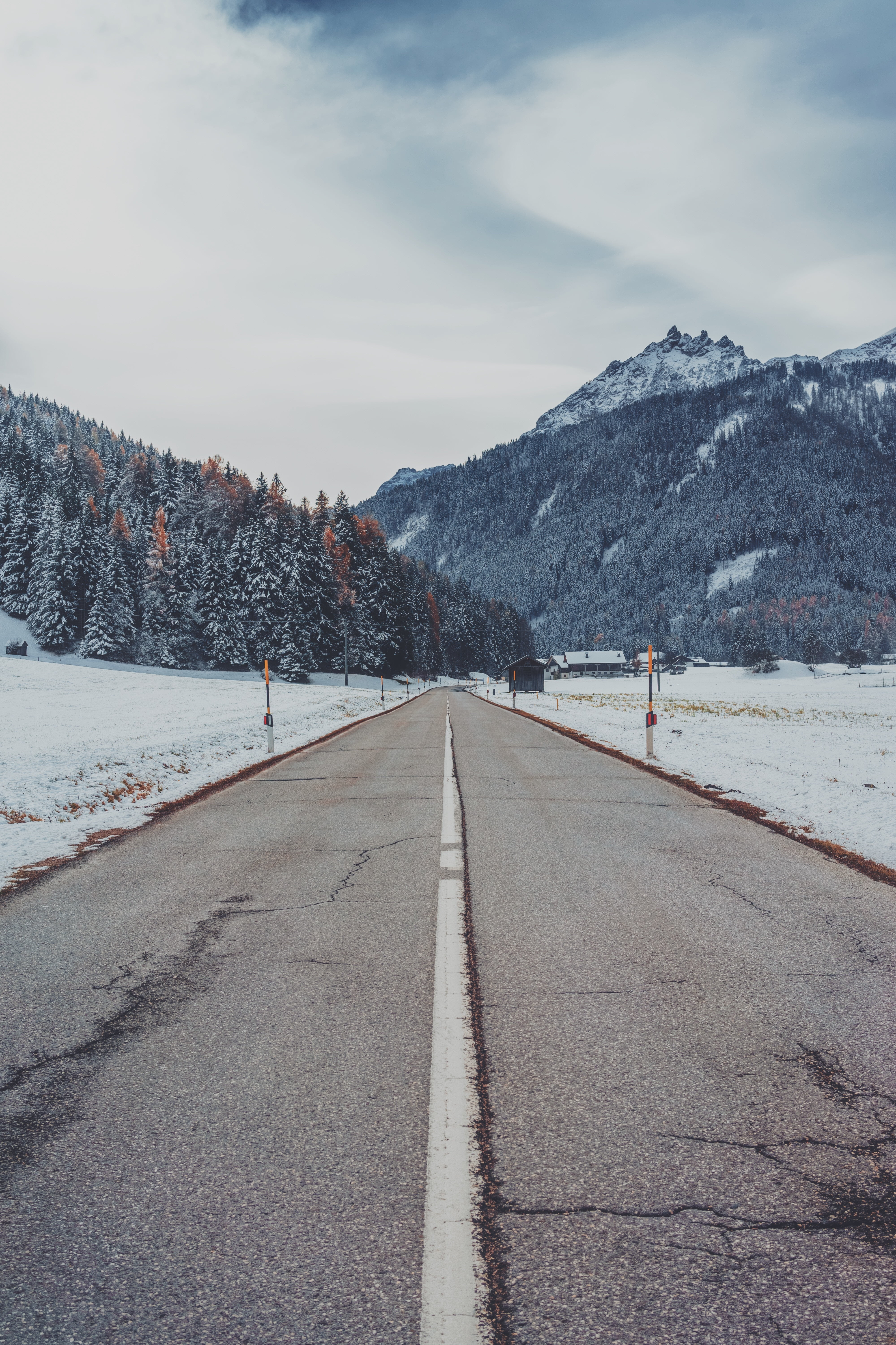 gray concrete road, mountains, snow, marking, trees, winter, nature