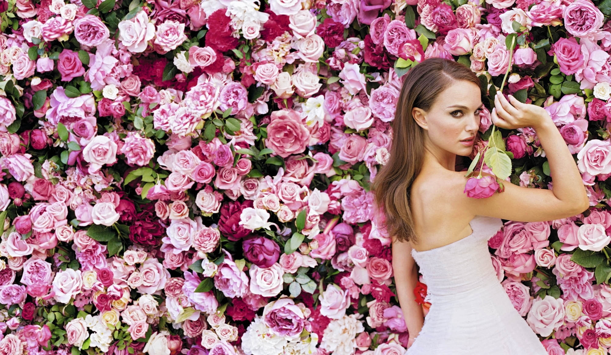 women's white off-shoulder dress, girl, flowers, roses, actress