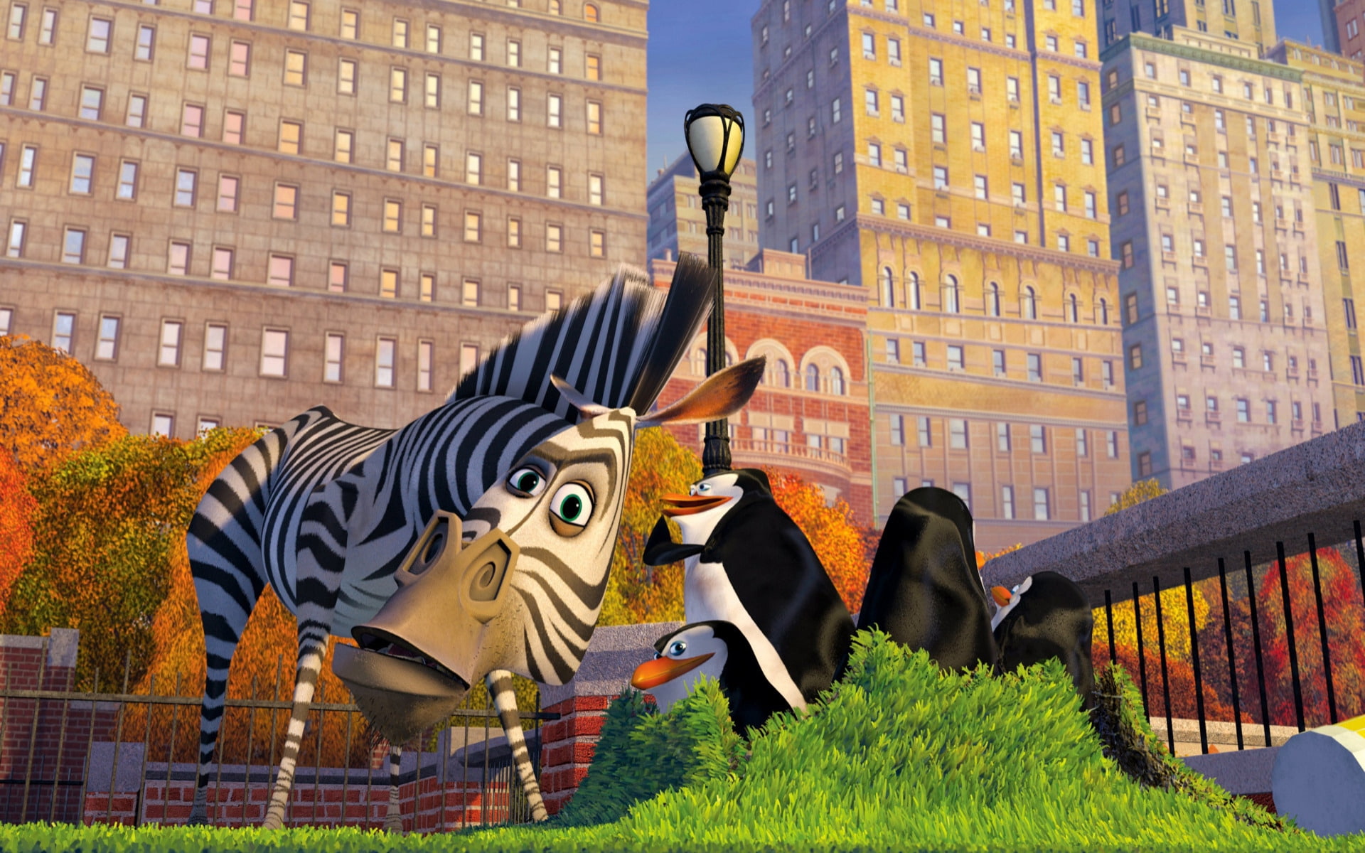 Madagascar Characters, cartoon, zebra