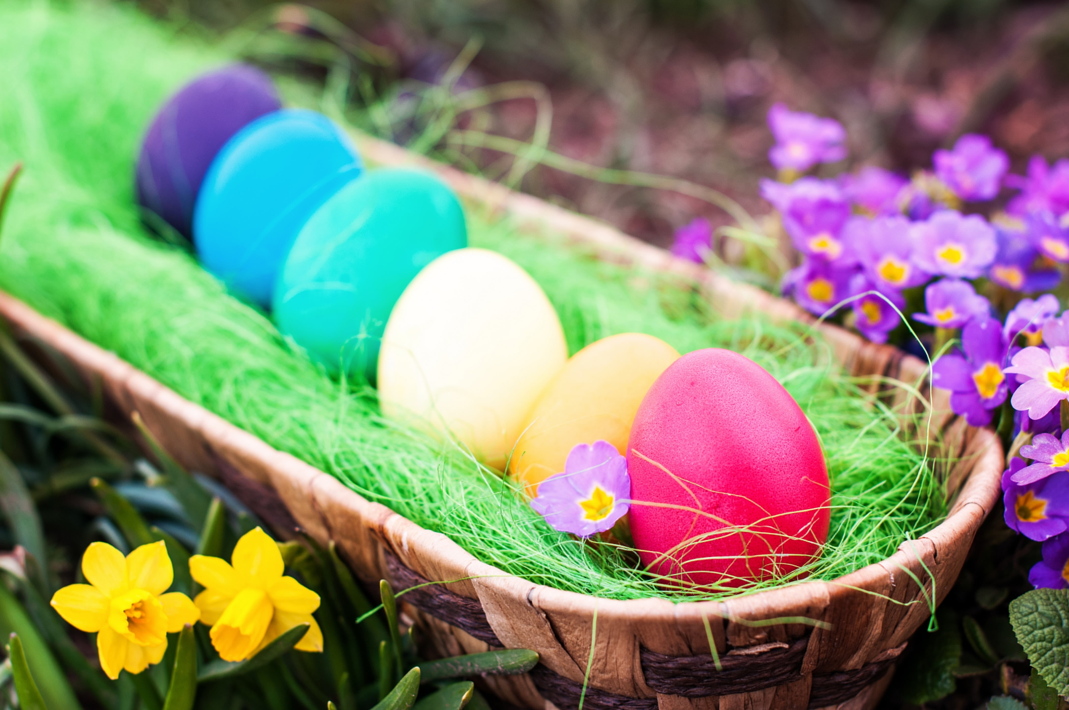 eggs, Easter, Easter eggs