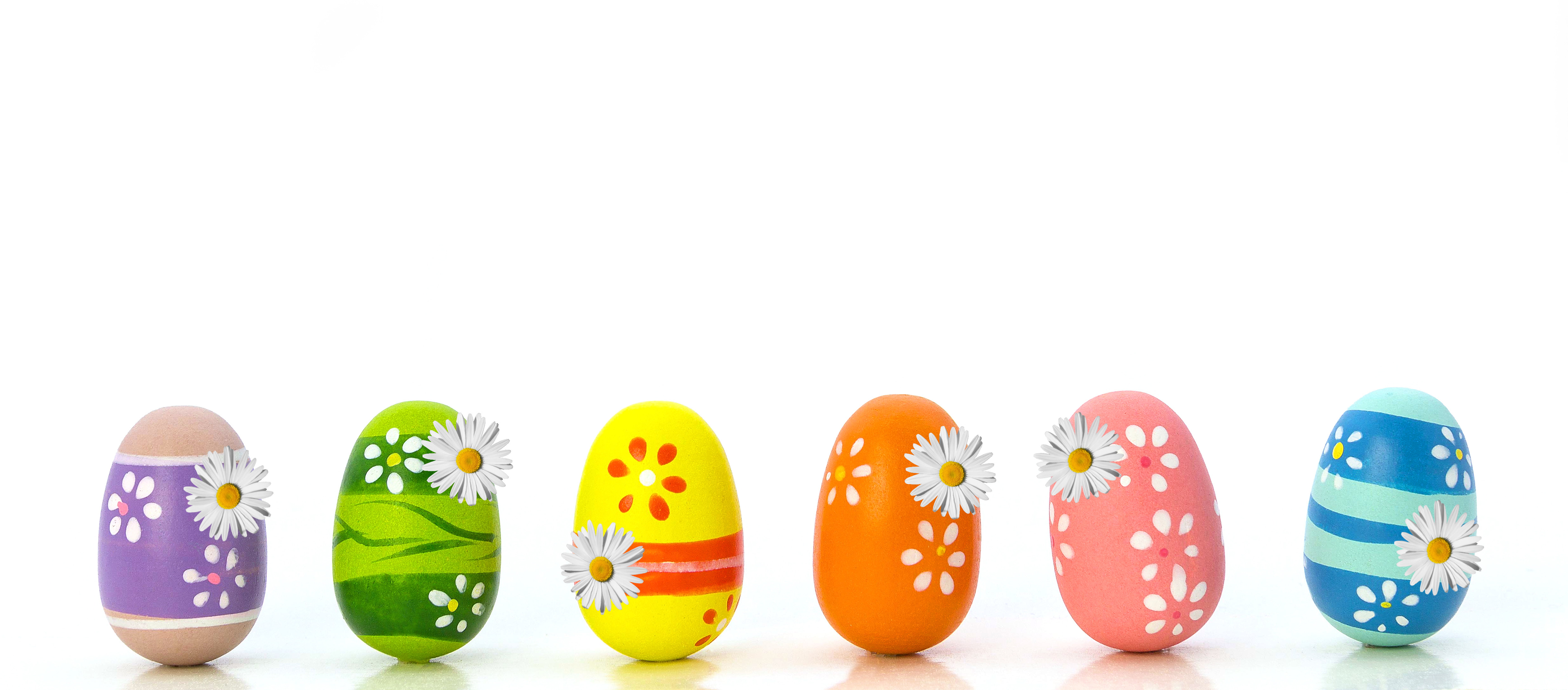 eggs, Easter, Easter eggs