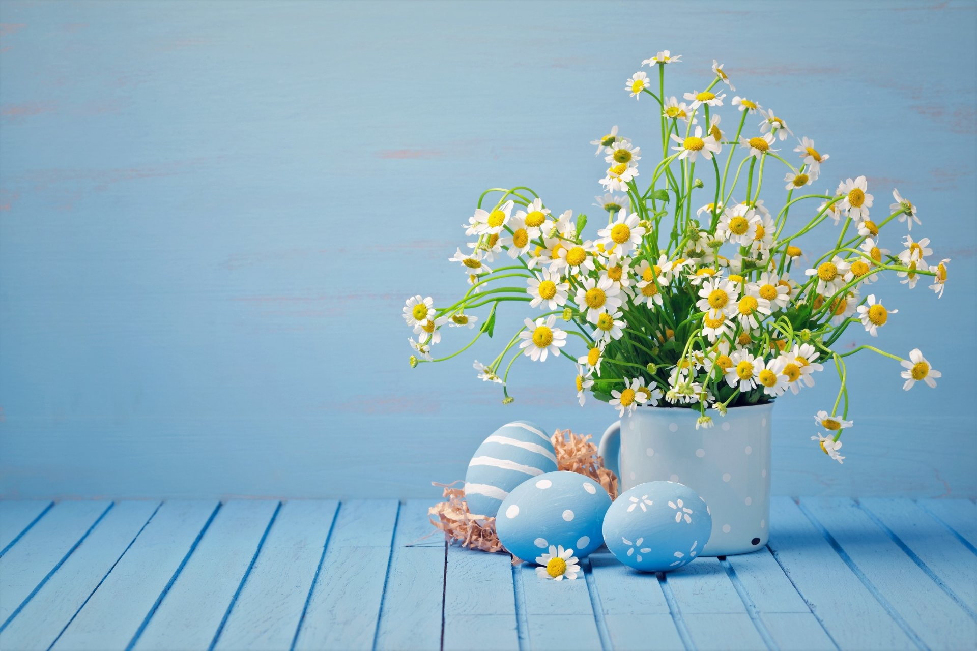 Holiday, Easter, Camomile, Easter Egg, Flower, White Flower