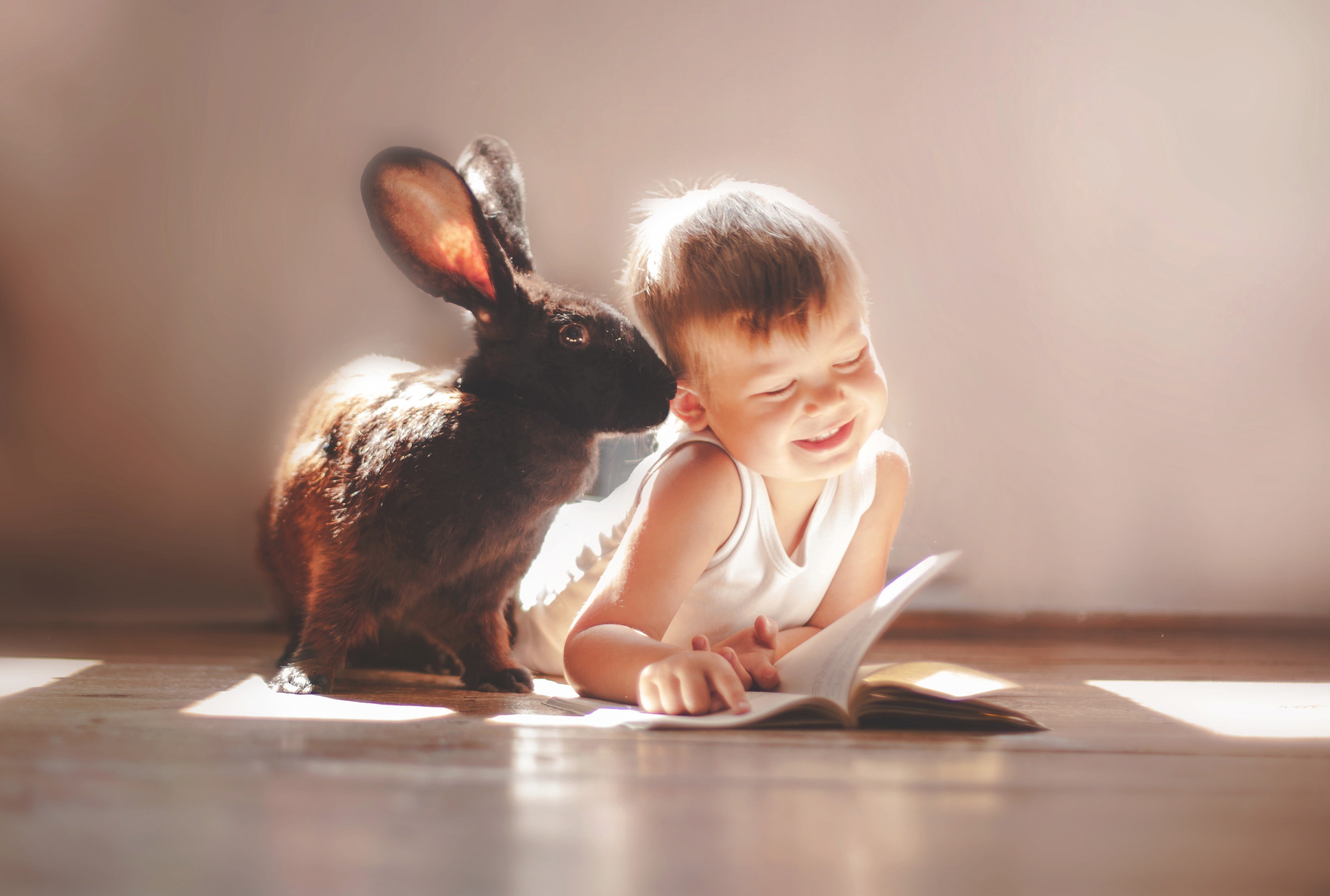 rabbits, children, Laughter