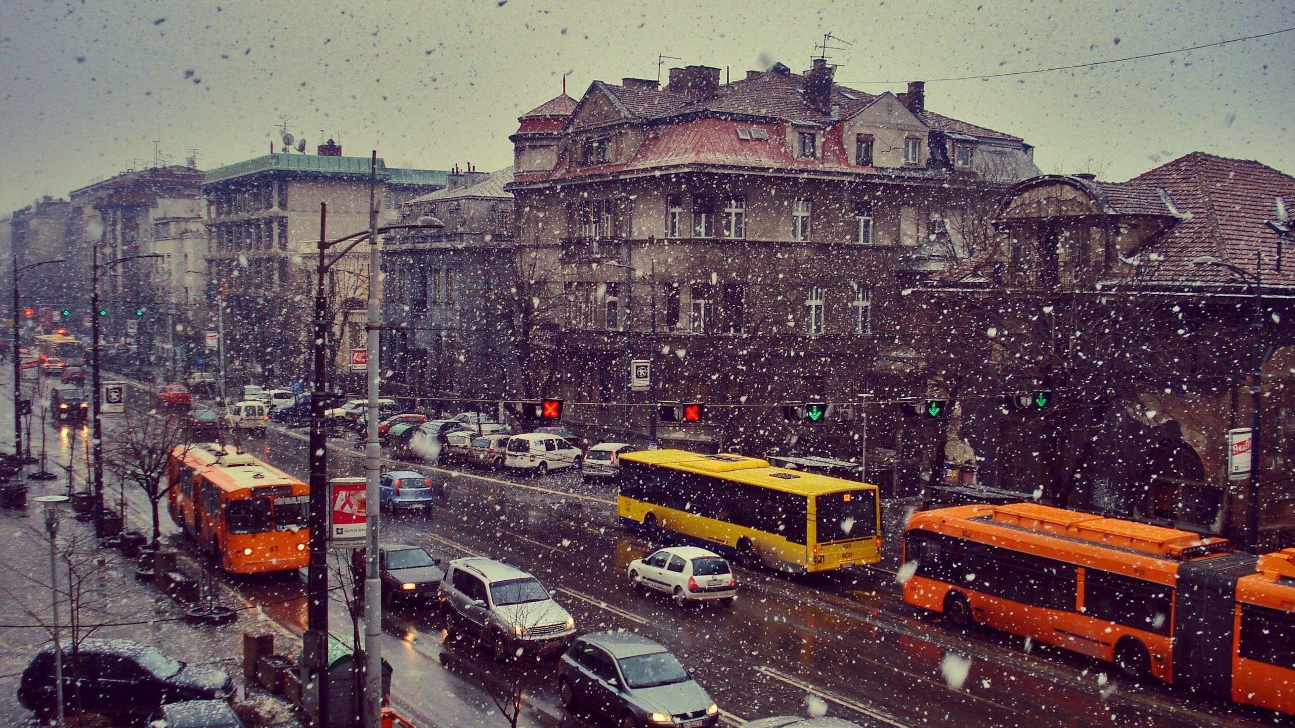 snow, car, buses, city, Serbia, Belgrade