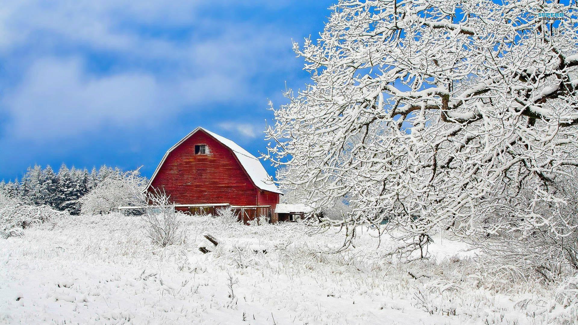 Red Barn In Winter, trees, nature and landscapes