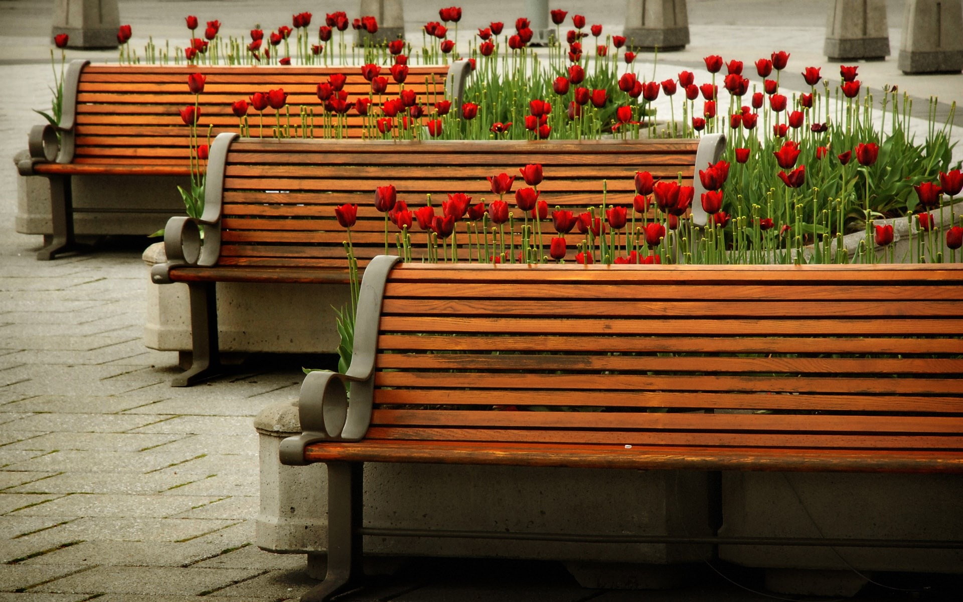 bench
