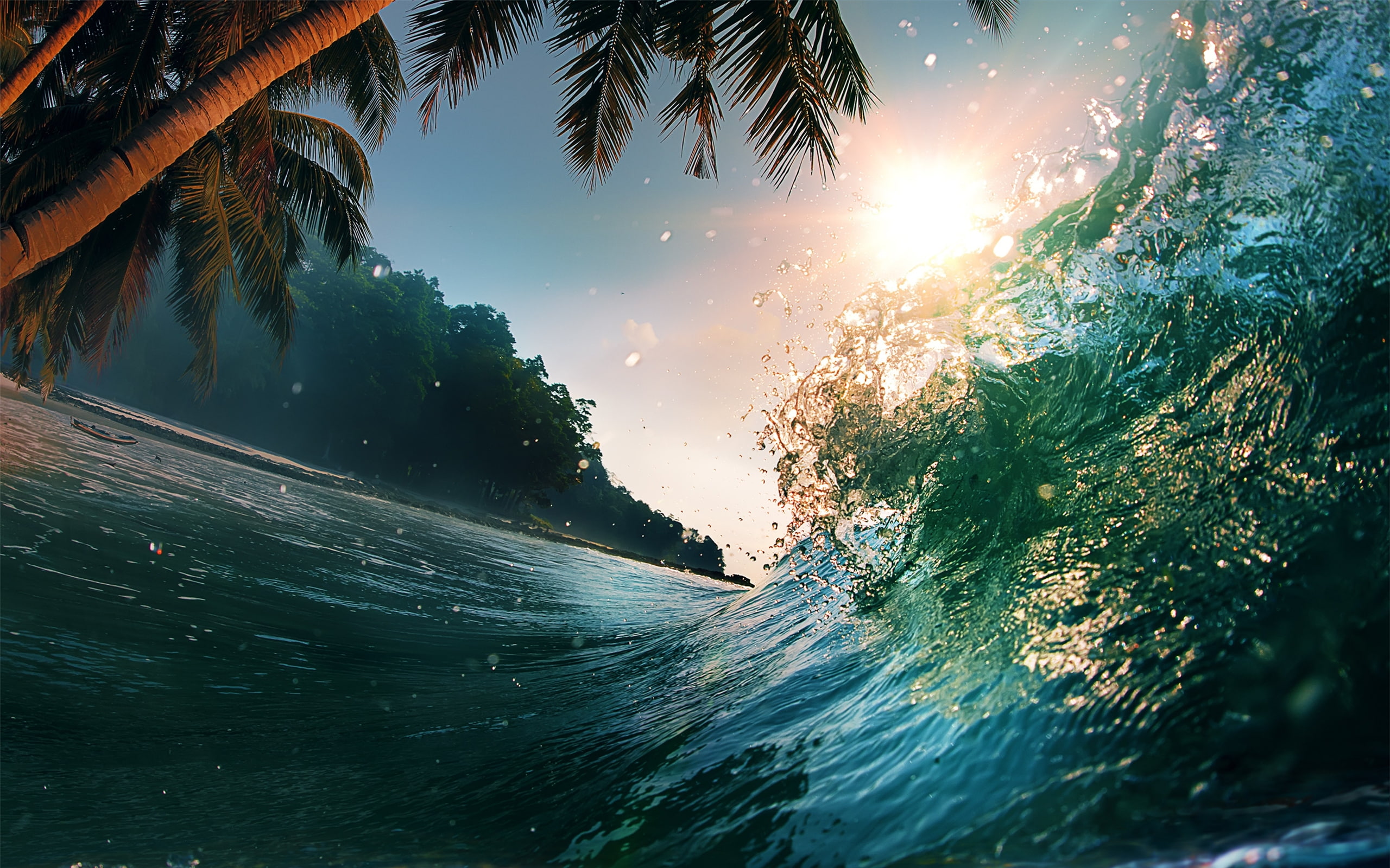 Waves Sea Ocean Beach Palm Trees Summer Wallpaper Background   70843