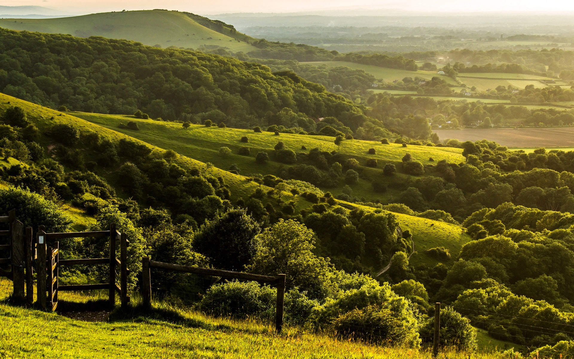 Pyecombe, West Sussex, England, farm, hills, green, trees, green tree