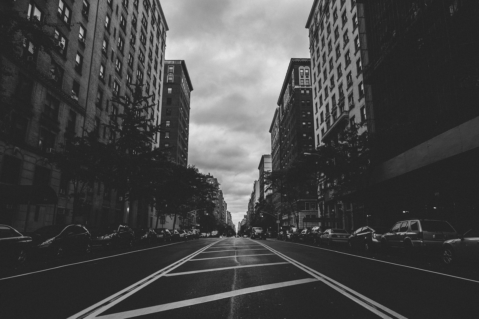 City, Street, Cars, Trees, Black And White, city buildings gray scale photo