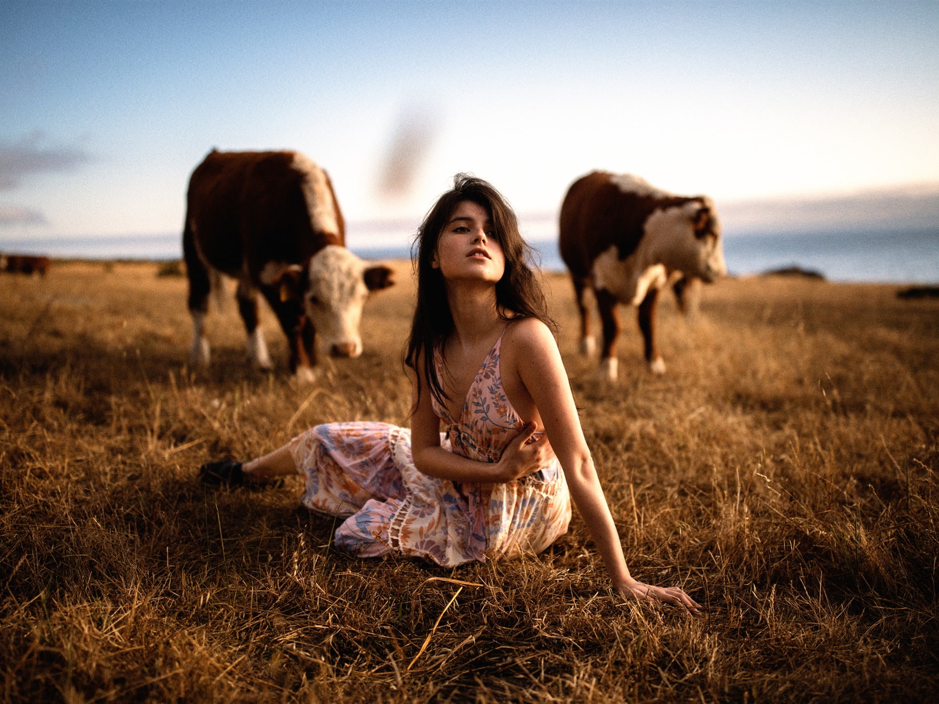 Girl in a field with cows-Beauty Photo Wallpaper, mammal, grass
