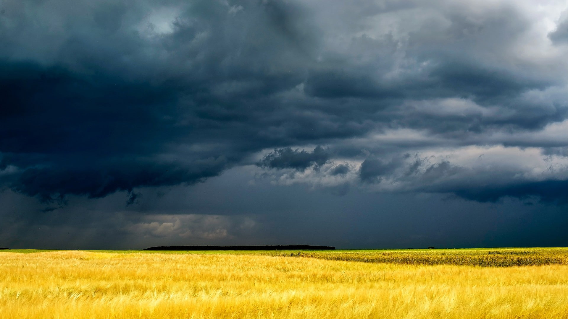 clouds, fields, grass, sky, storm
