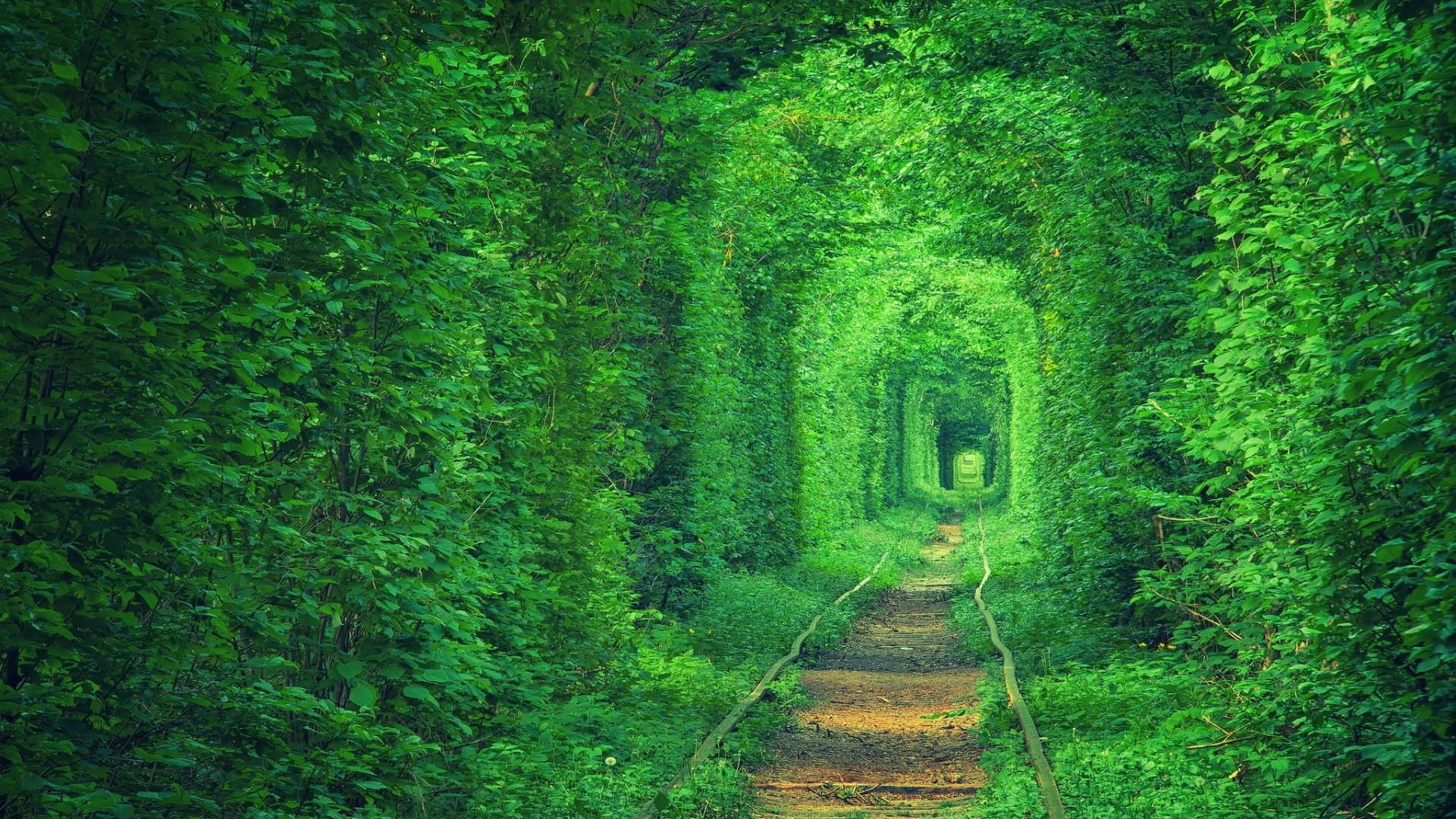 track, europe, tunnel, tunnel view, grass, tunel kokhannya