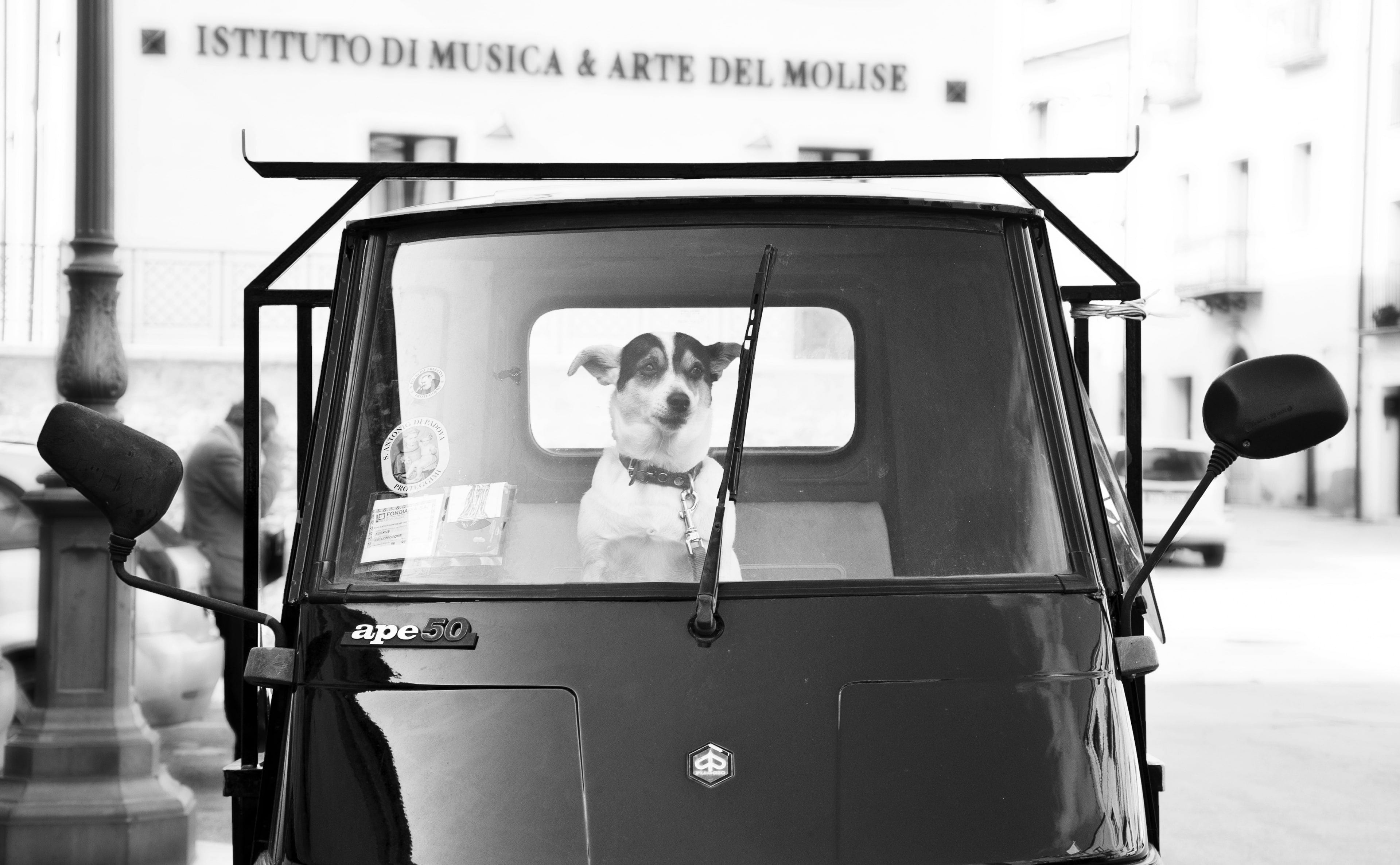 A Mans Best Friend, Black and White, Italy, Stray, apecar, campobasso
