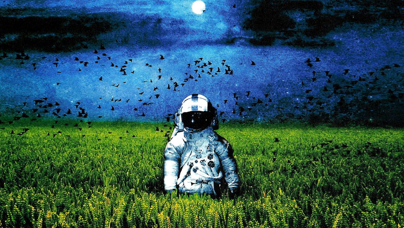 astronaut in middle of grass field painting, artwork, album covers