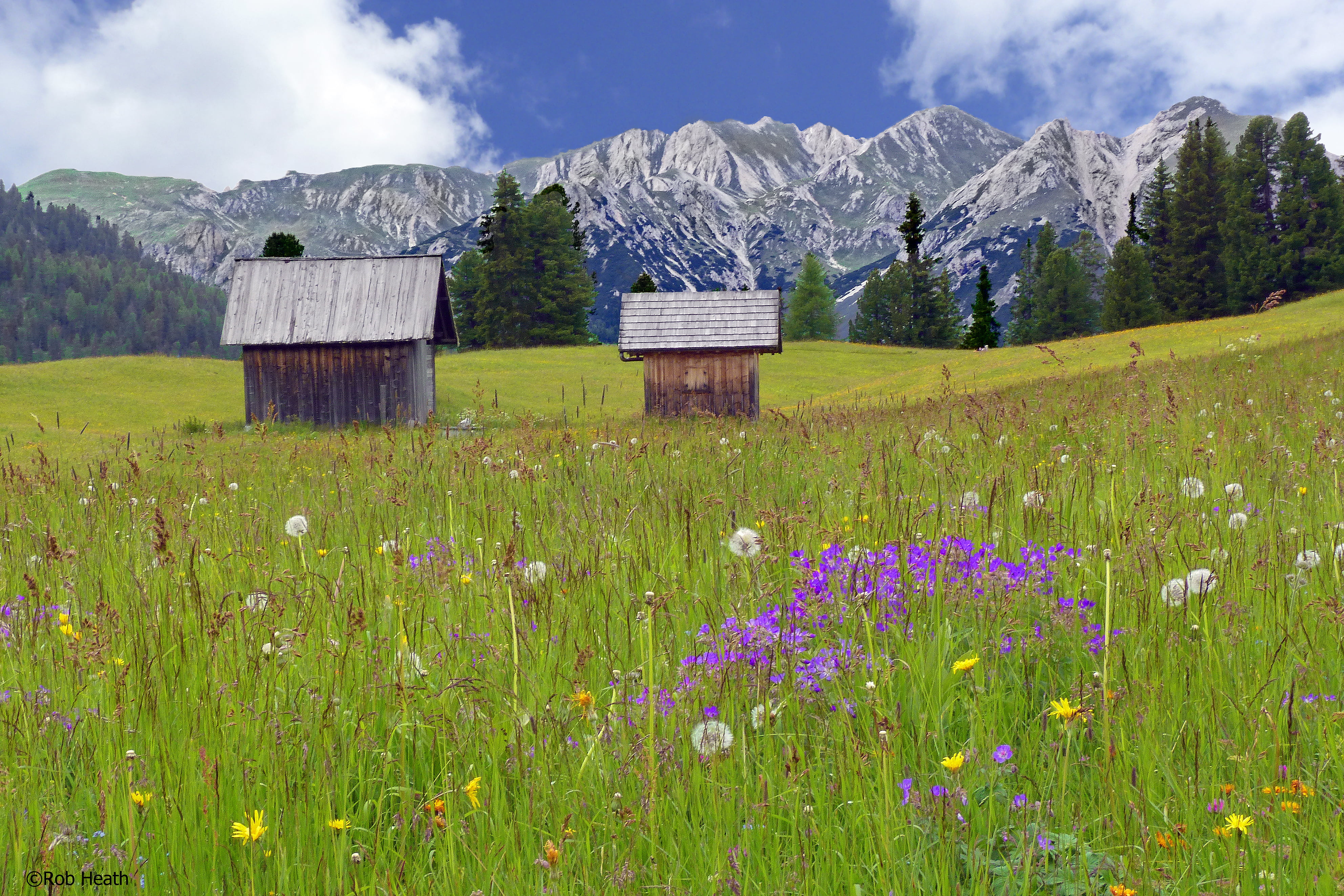 photo of two brown sheds on grass field with overlooking snowy mountain, prato, prato