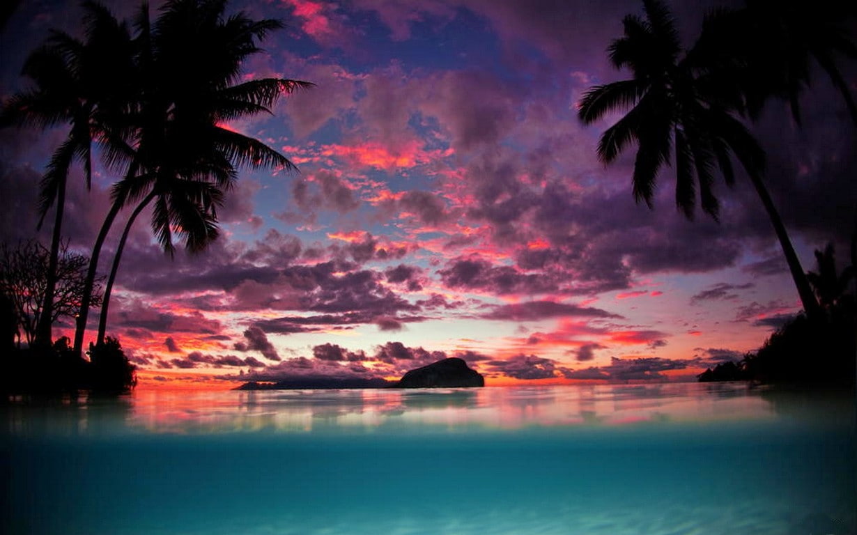 landscape, beach, sunset, tropical, nature, palm trees, water