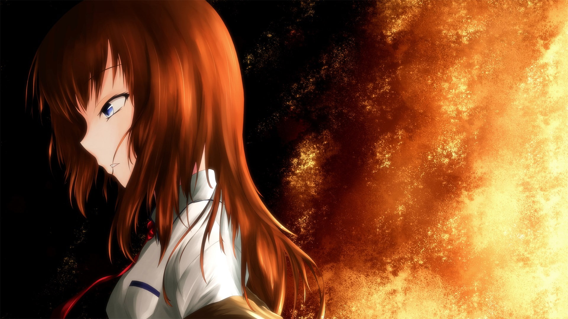 steinsgate