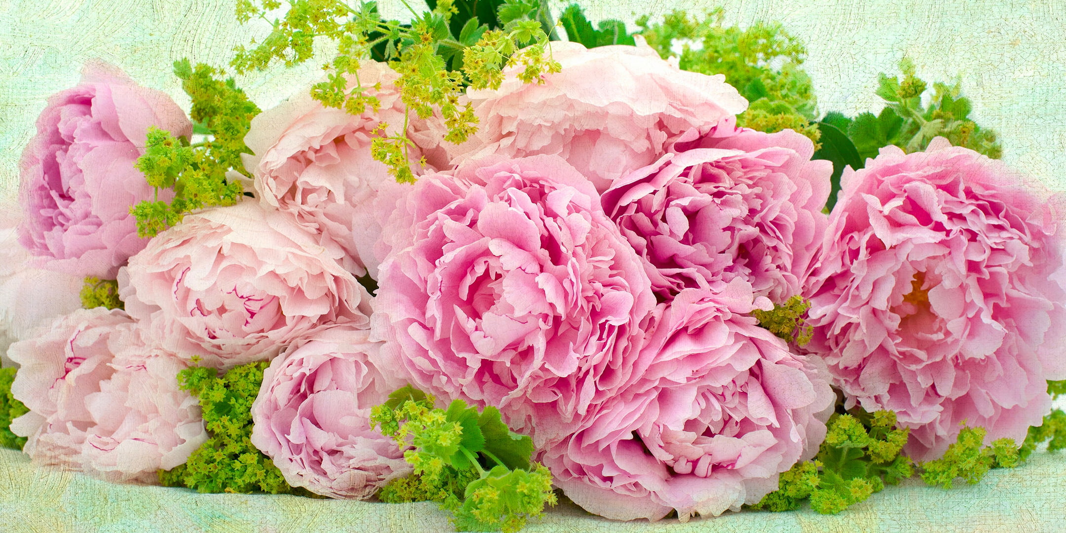 Free download | HD wallpaper: pink carnation flower arrangement