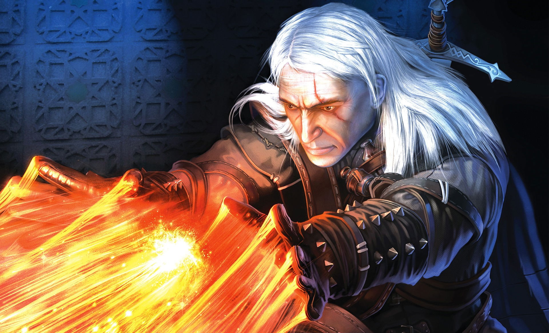 the witcher