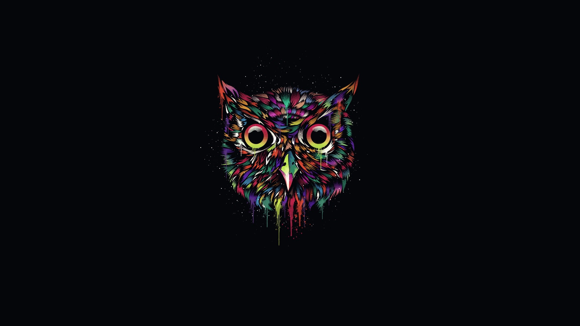 Colorful owl, creative design, black background, red green and purple owl illustration