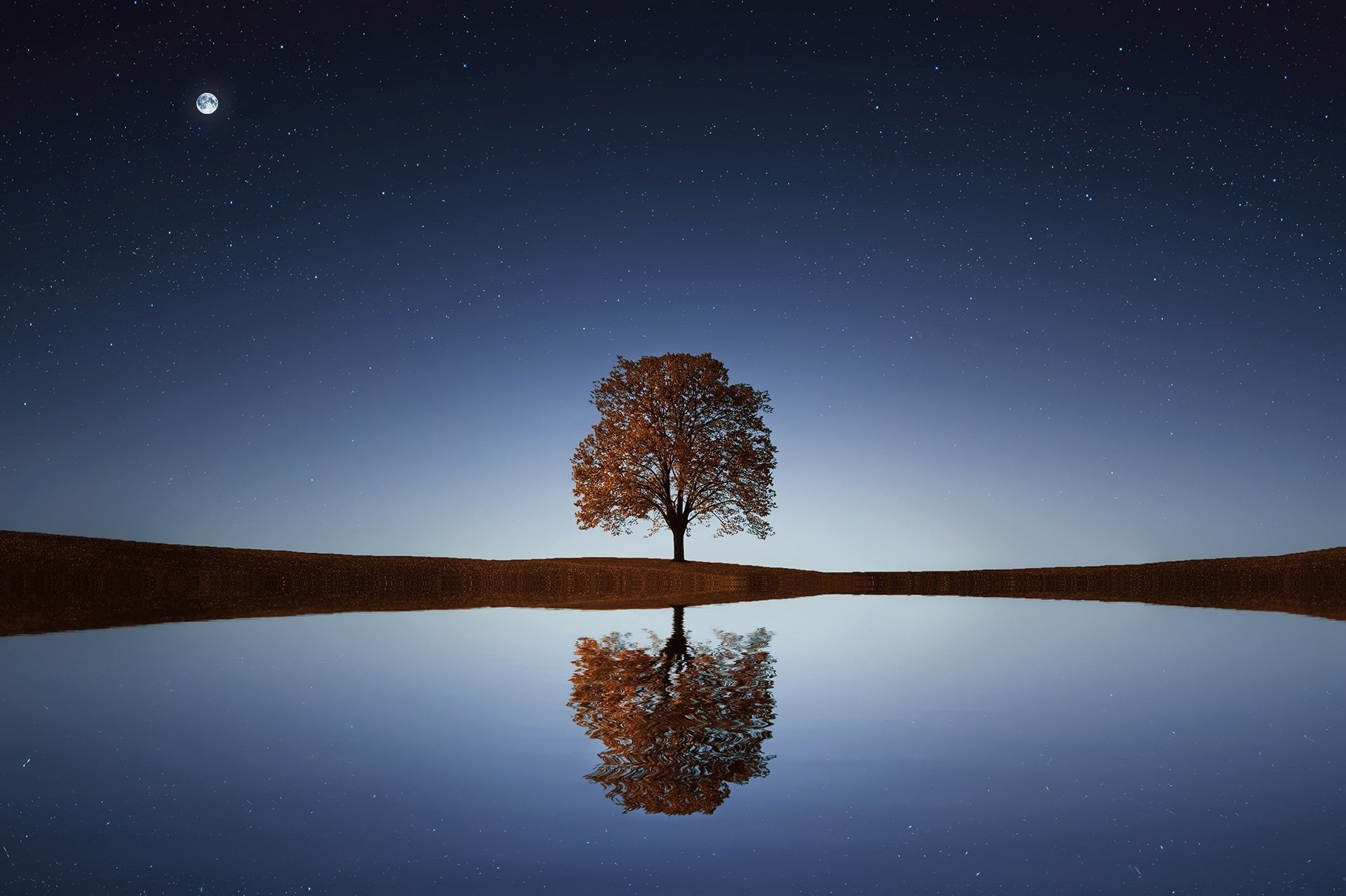Trees, Artistic, Blue, Earth, Lonely Tree, Moon, Nature, Reflection