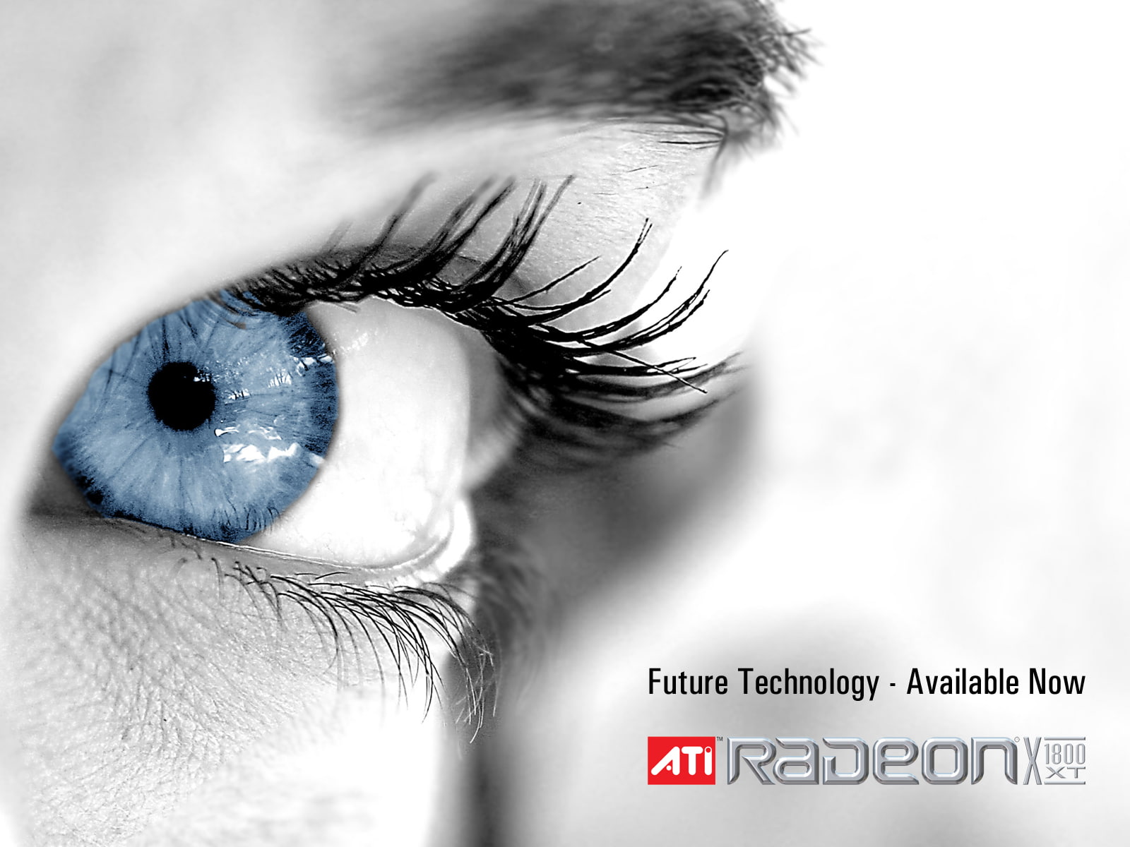 ATI RADEON Future Technology, human body part, one person, close-up