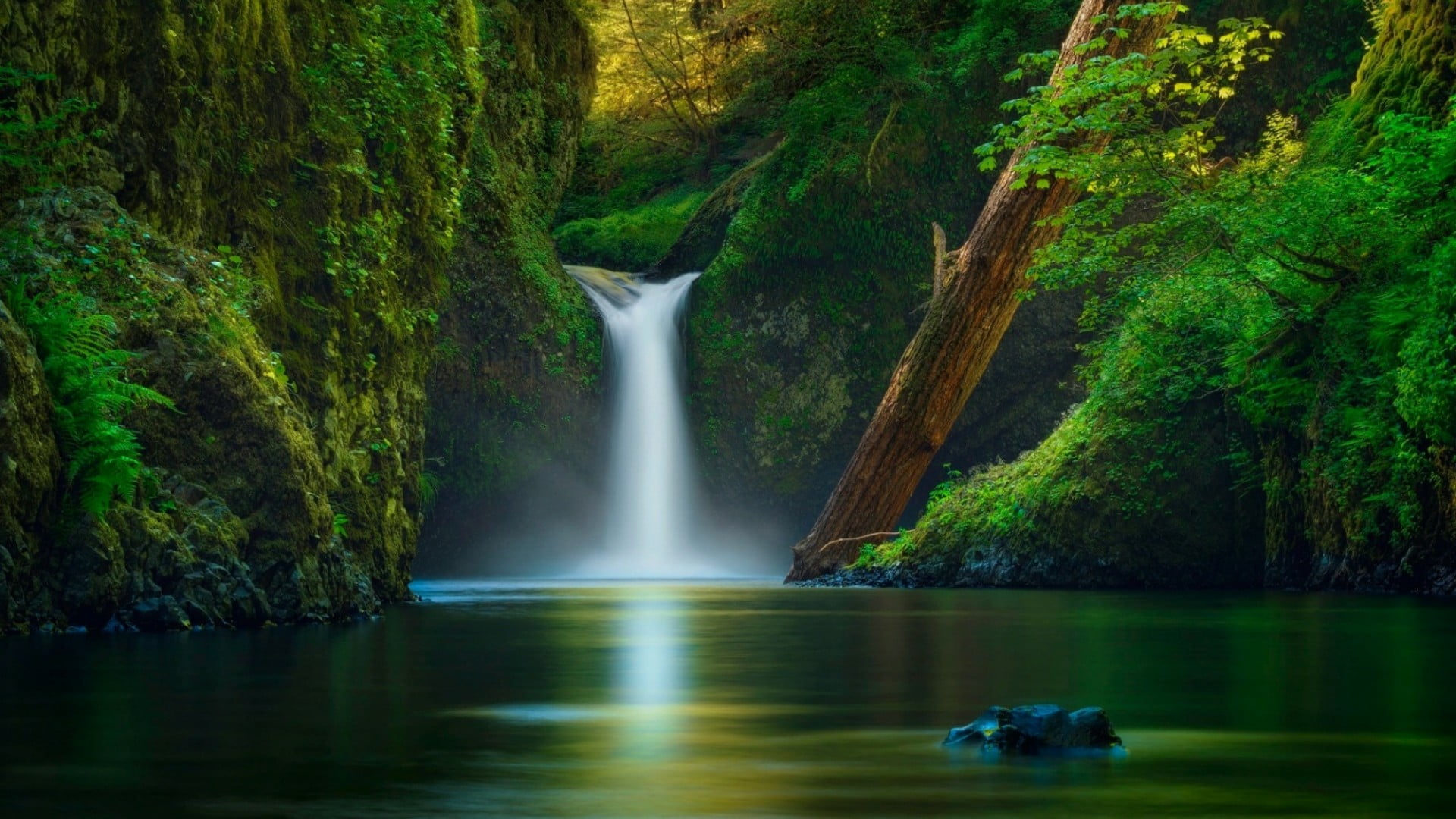 waterfall, nature, punch bowl falls, green, eagle creek, nature reserve