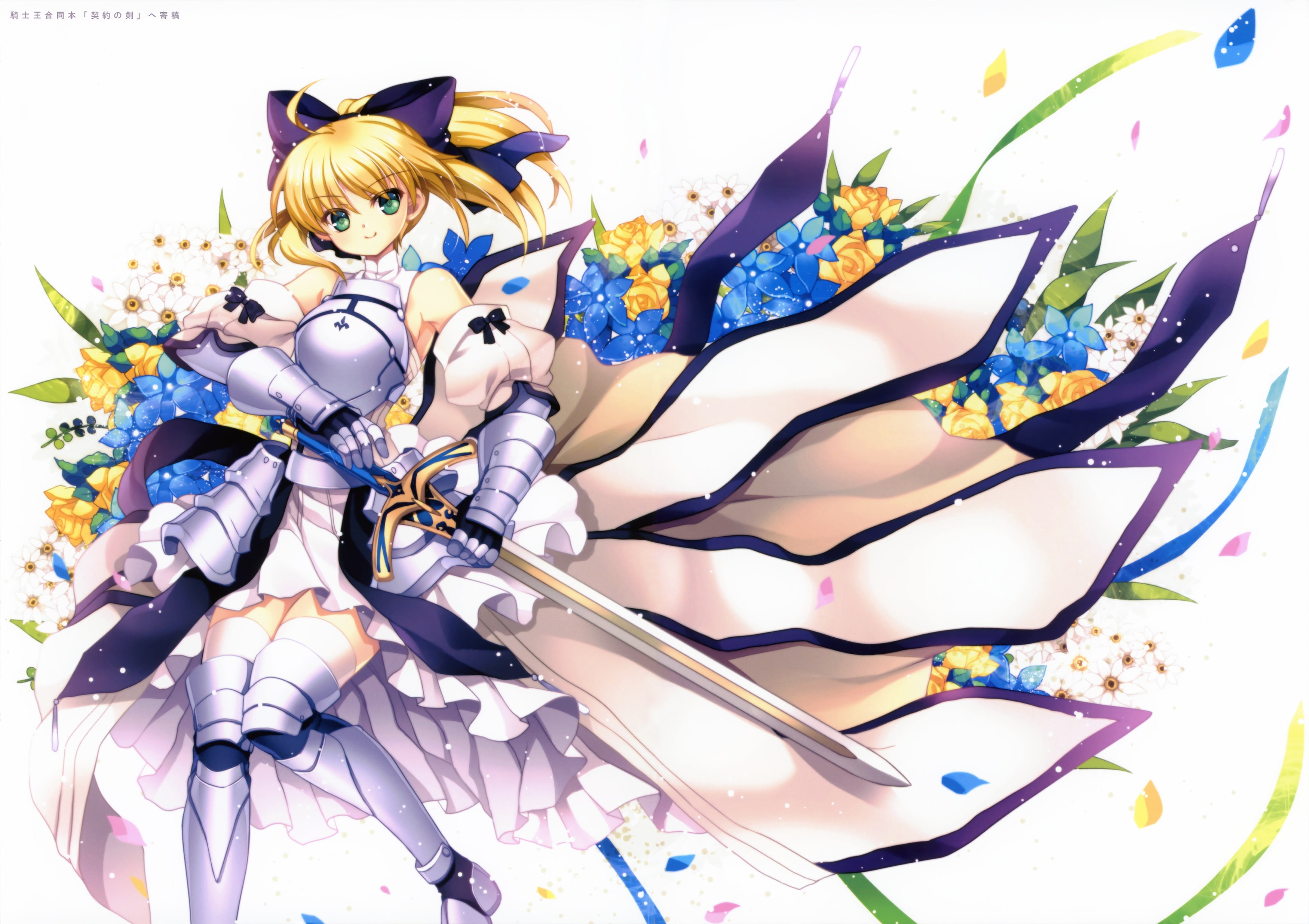 codes, eternal, fate, lily, night, phantasia, saber, stay, sword