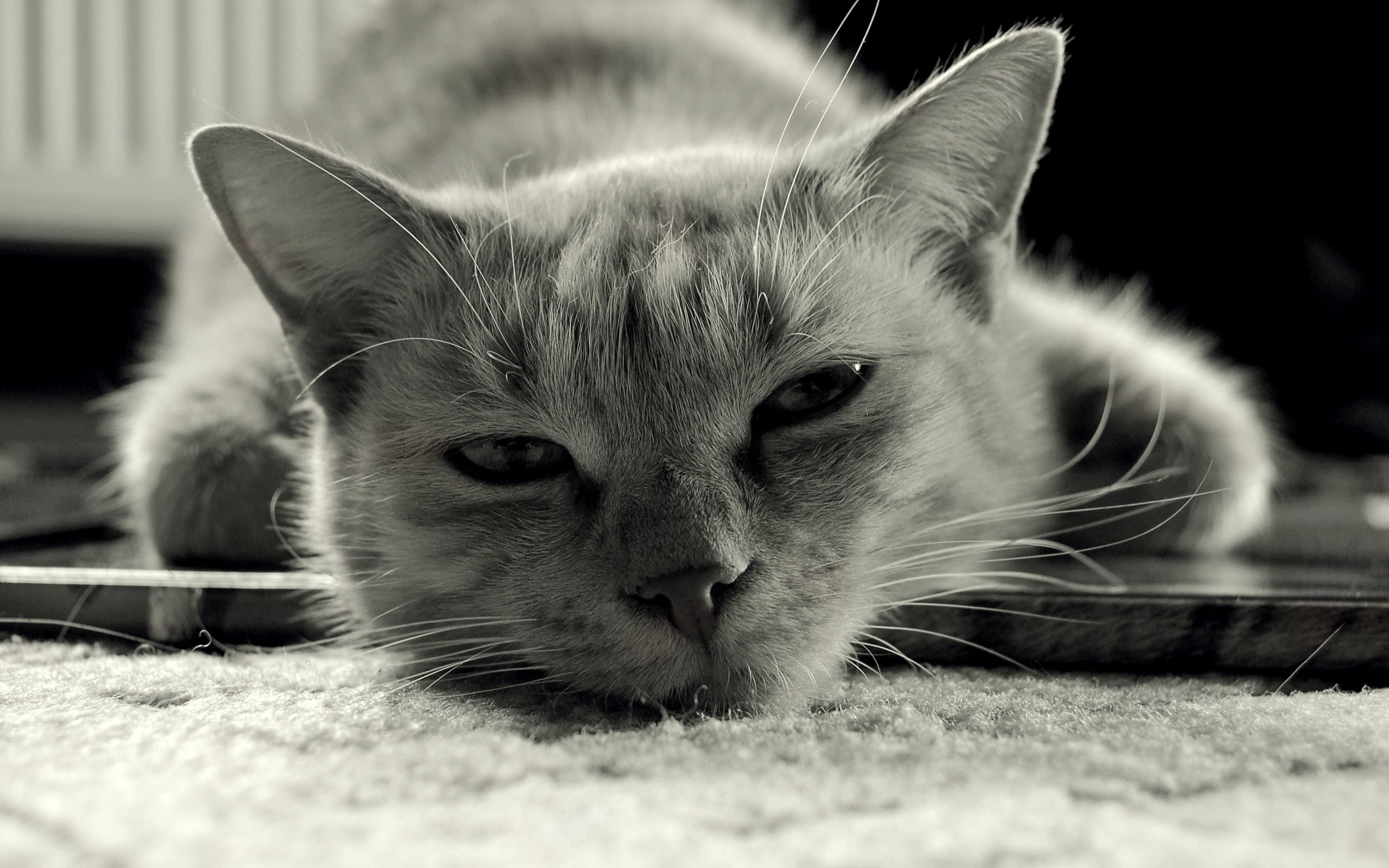 sleeping