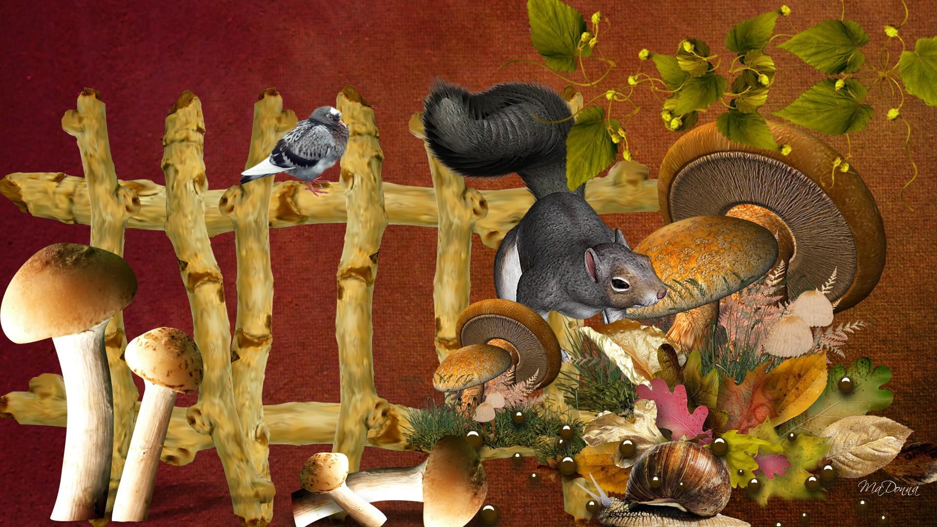 Mushrooms Squirrels, toad stools, orange, fall, leaves, whimsical