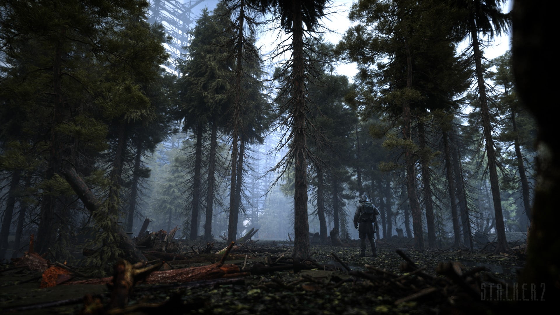S.T.A.L.K.E.R. 2, Chernobyl, gas masks, forest, trees