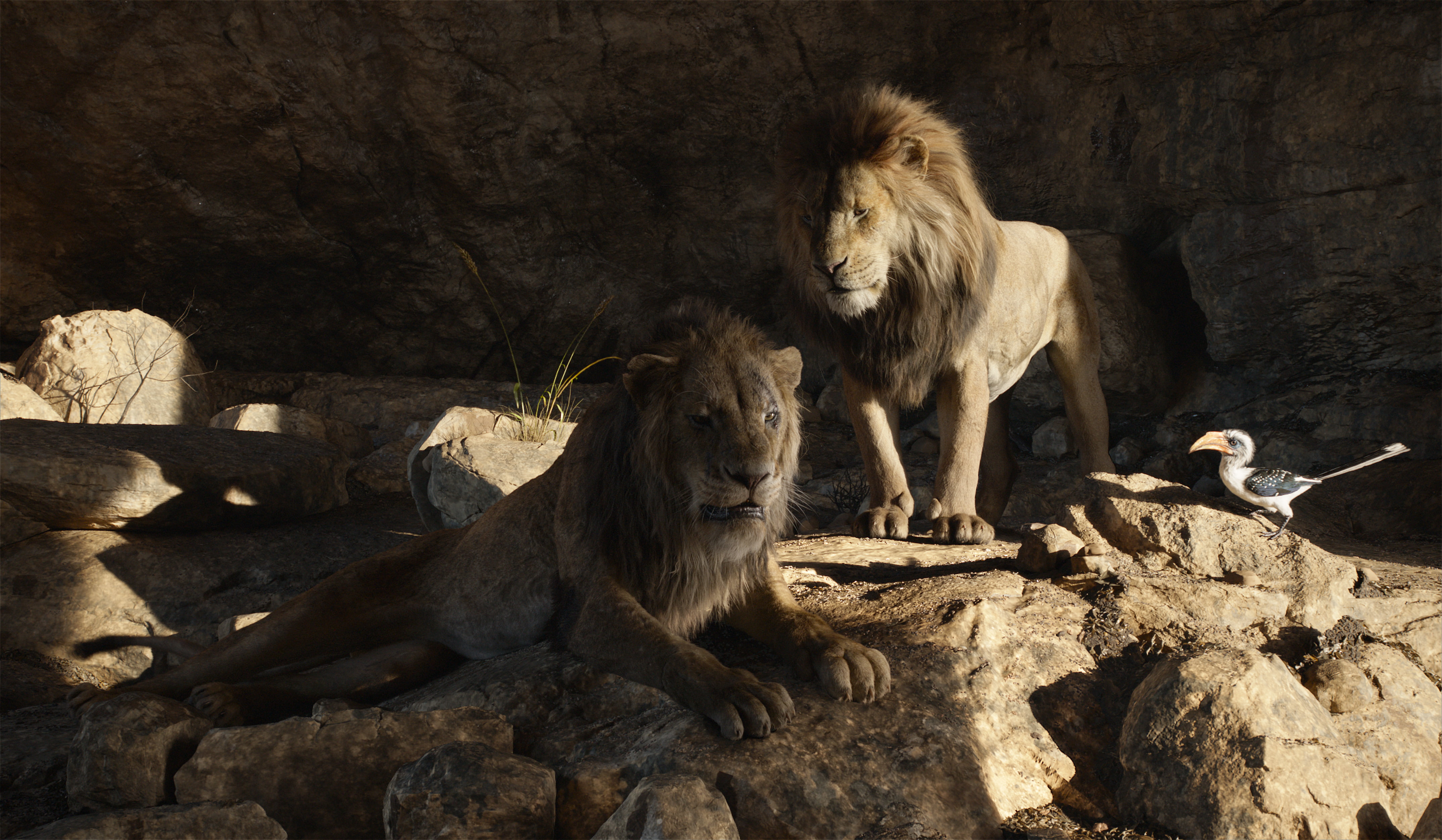 Movie, The Lion King (2019), Mufasa (The Lion King), Simba
